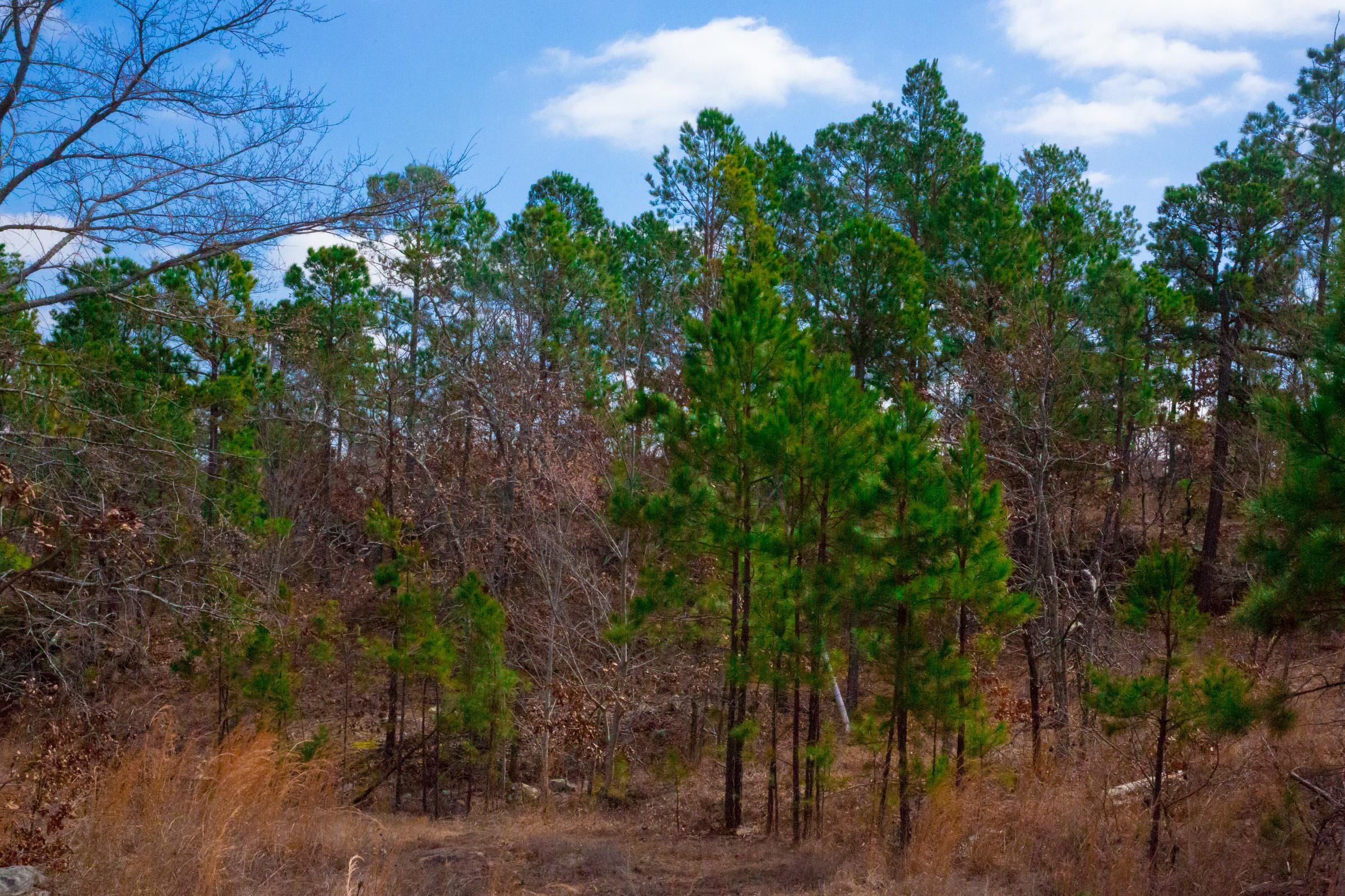 Stone Creek Phase II Tract 202 photo 15