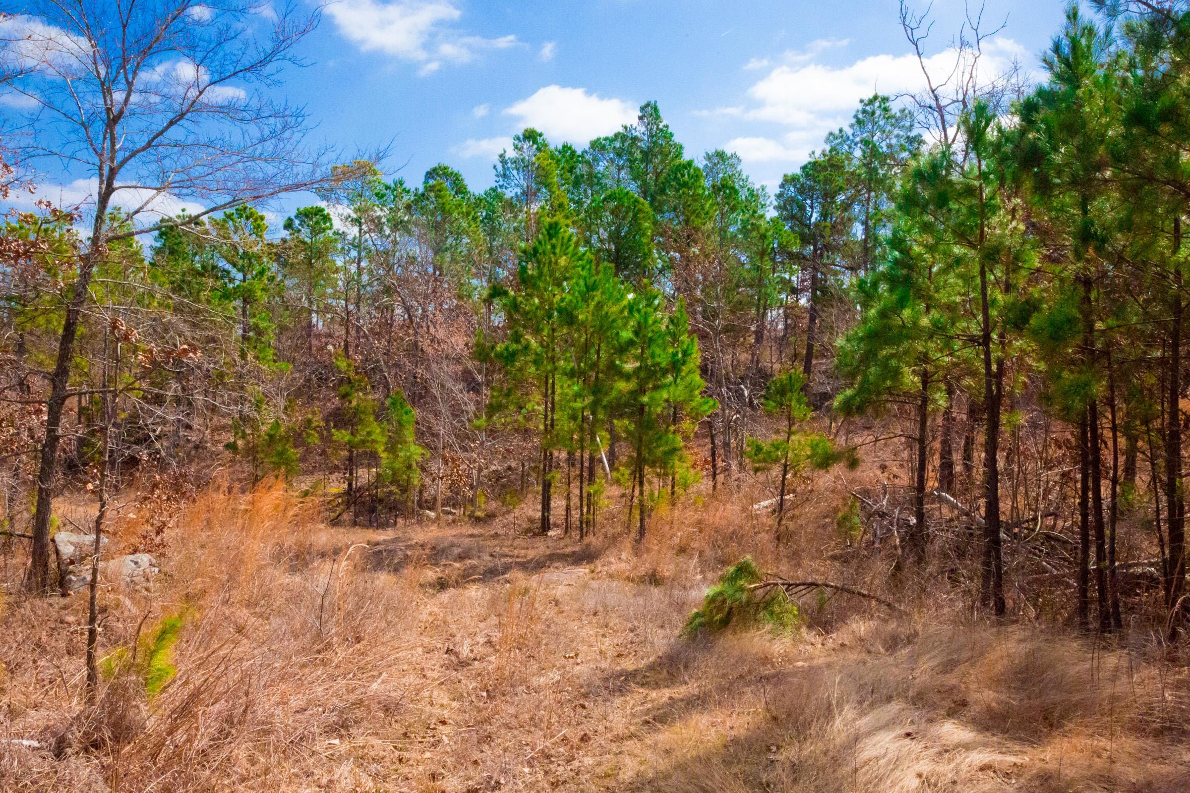 Stone Creek Phase II Tract 202 photo 16