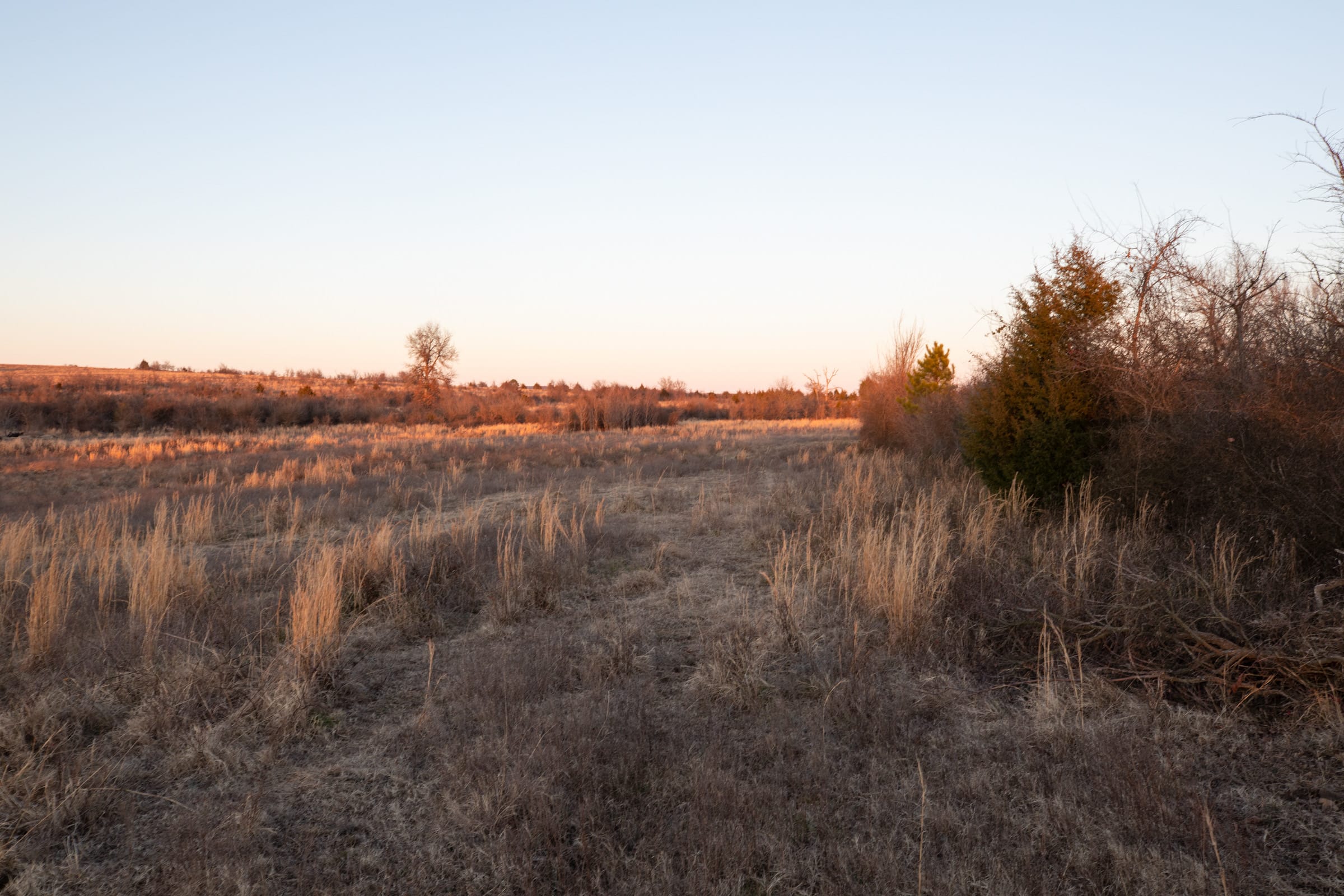 Painted Horse Tract 5 photo 2