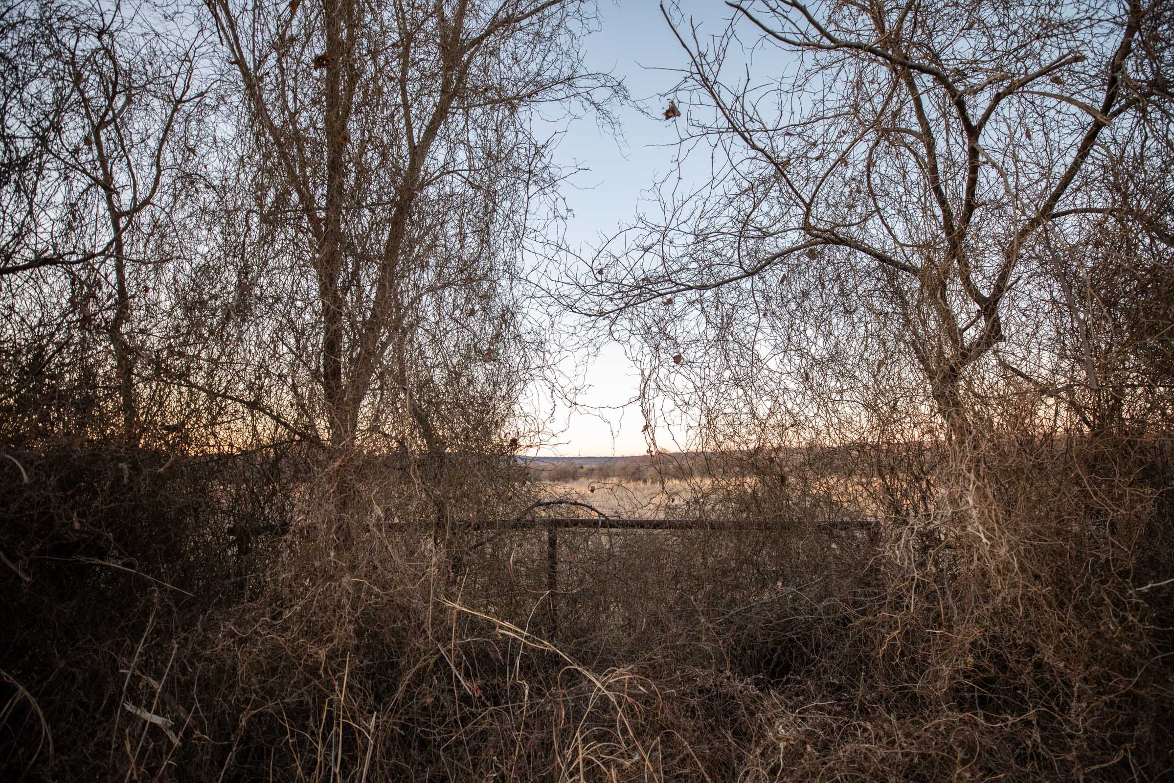 Painted Horse Tract 5 photo 8
