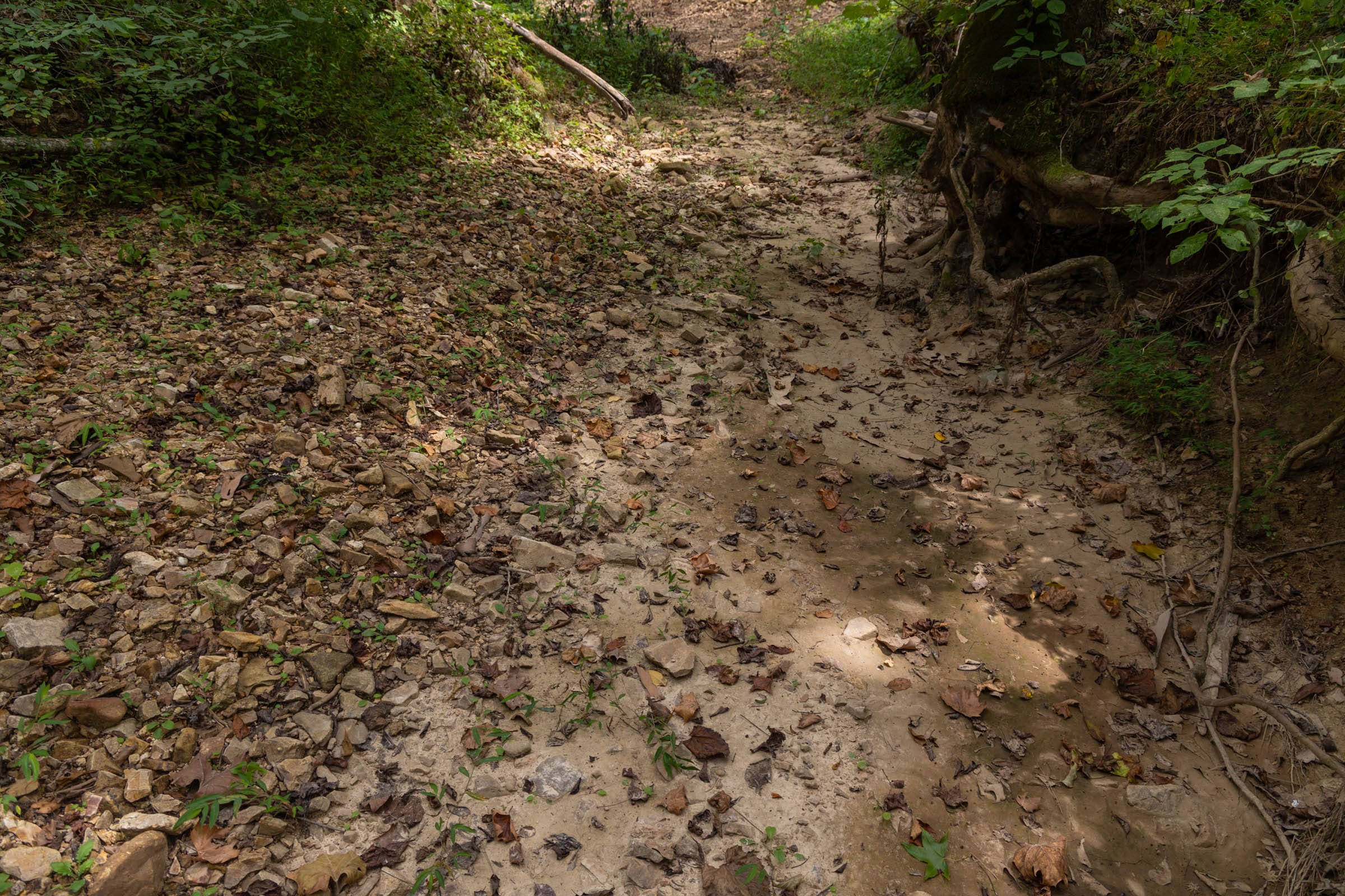 Big White Oak Tract 87 photo 12