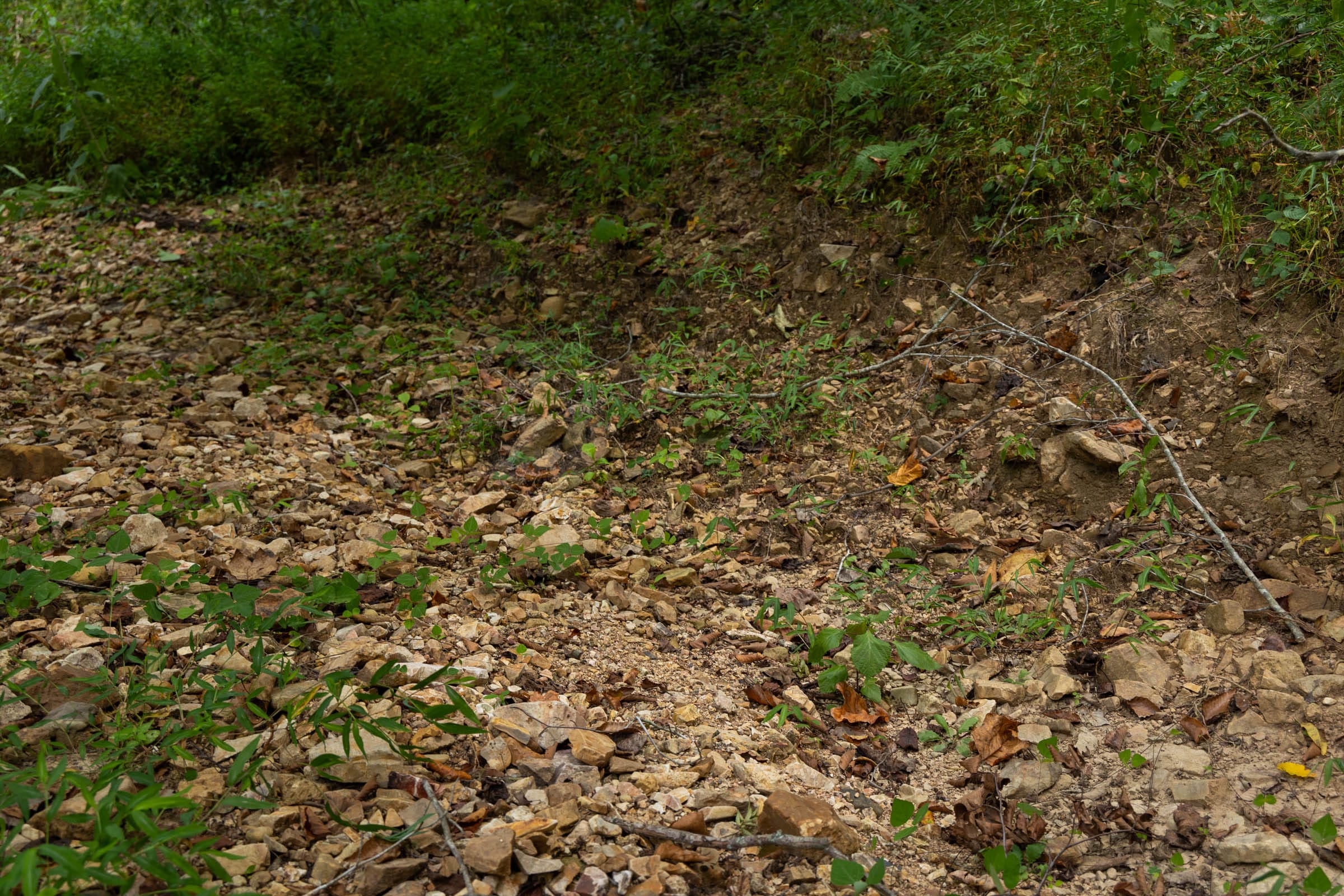 Big White Oak Tract 121 photo 7