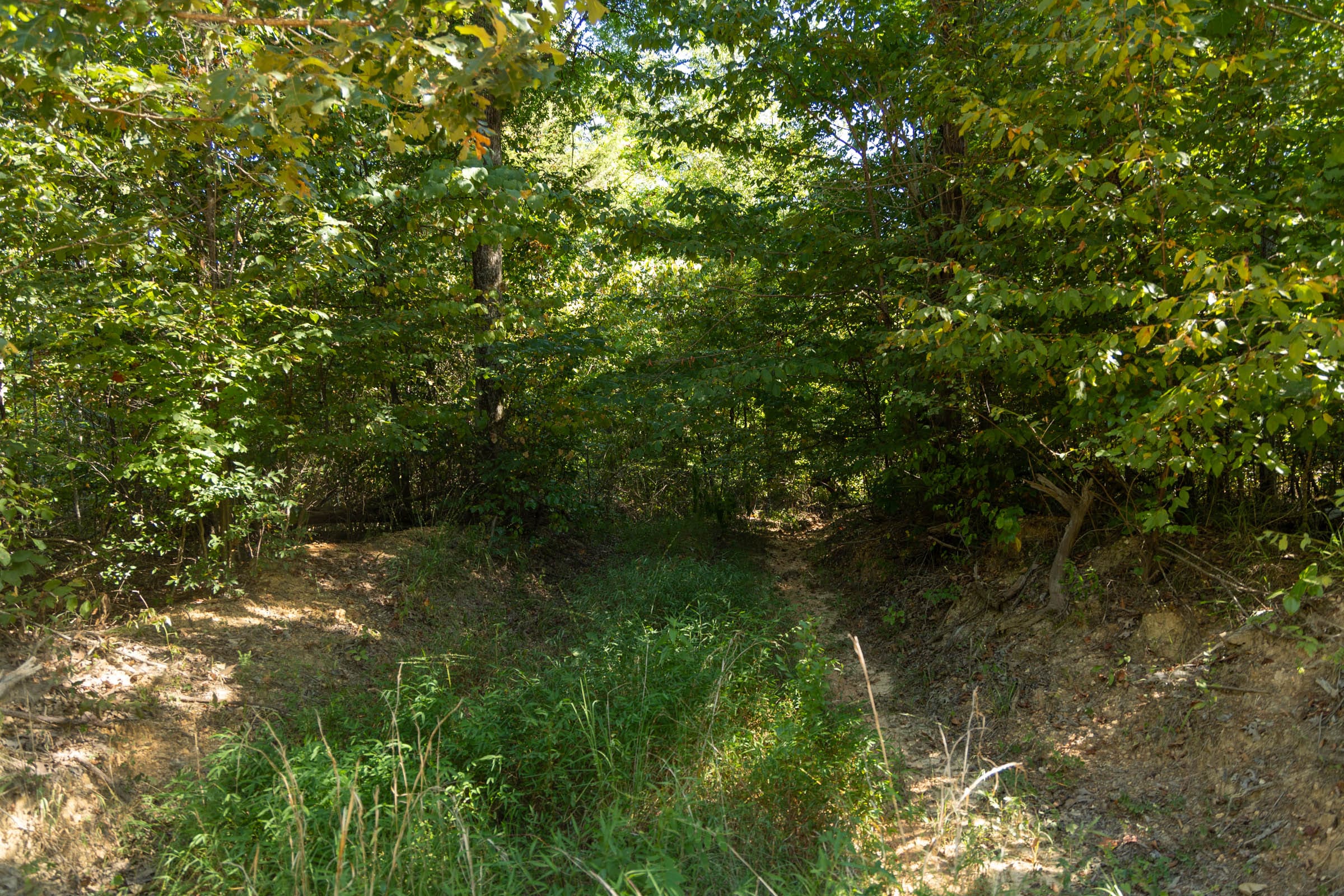 Big White Oak Tract 102 photo 11