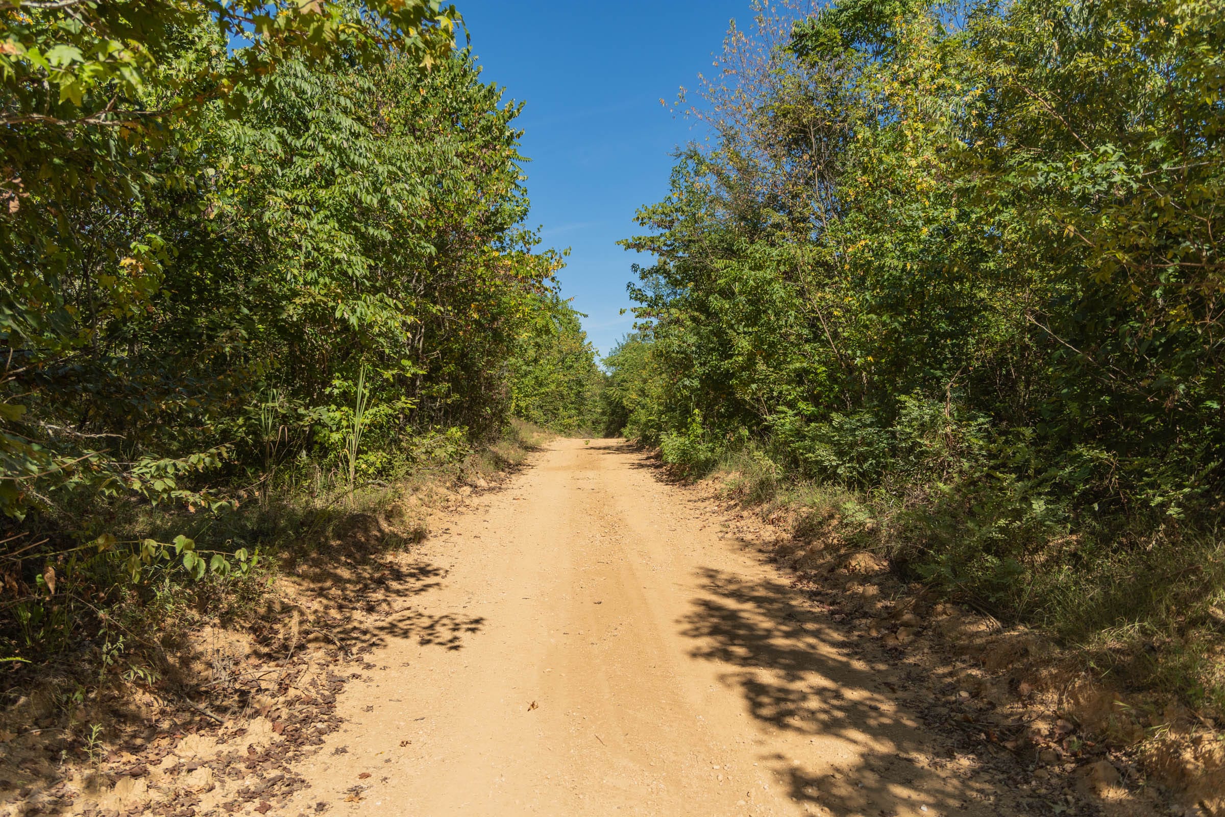 Big White Oak Tract 102 photo 5