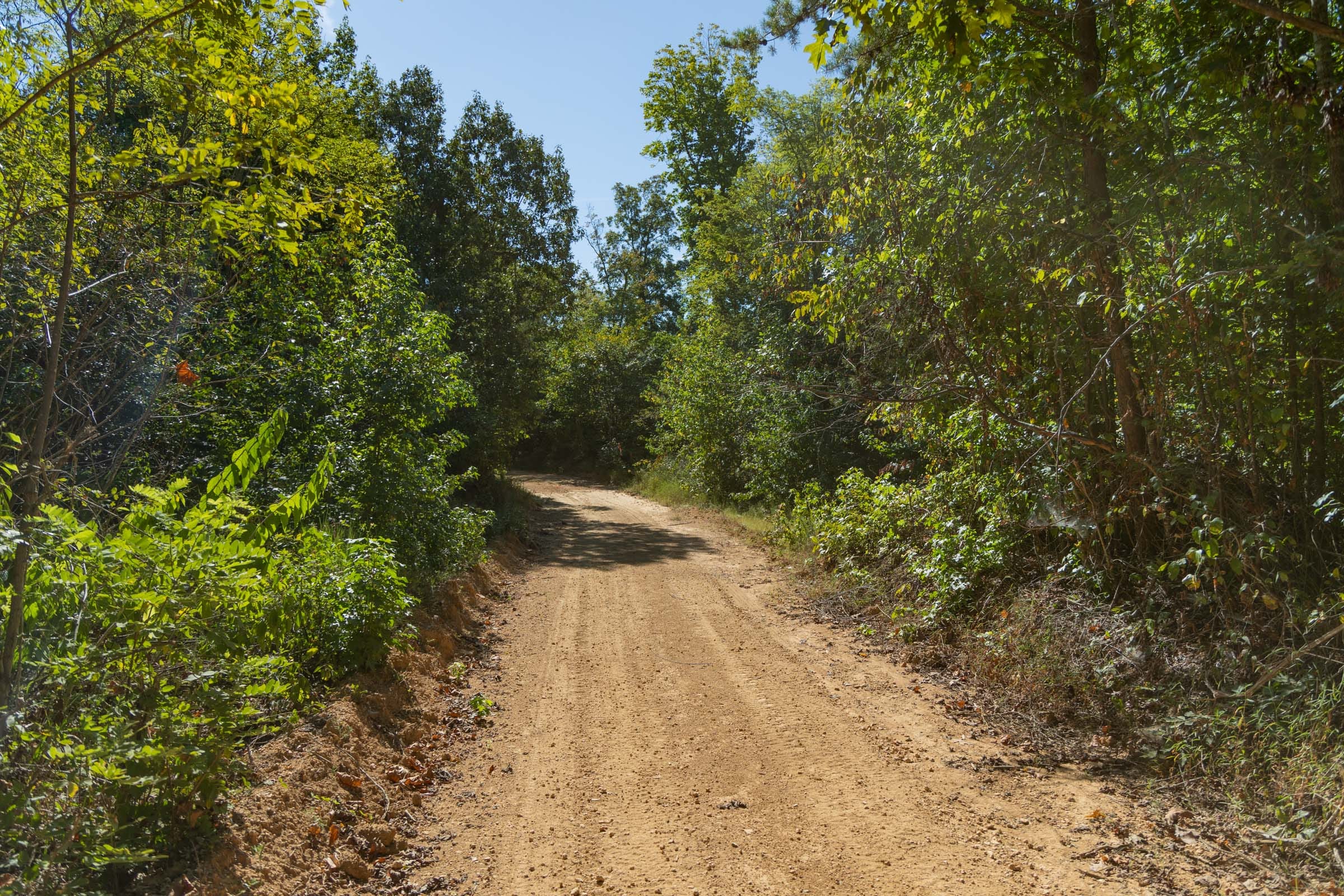 Big White Oak Tract 102 photo 4