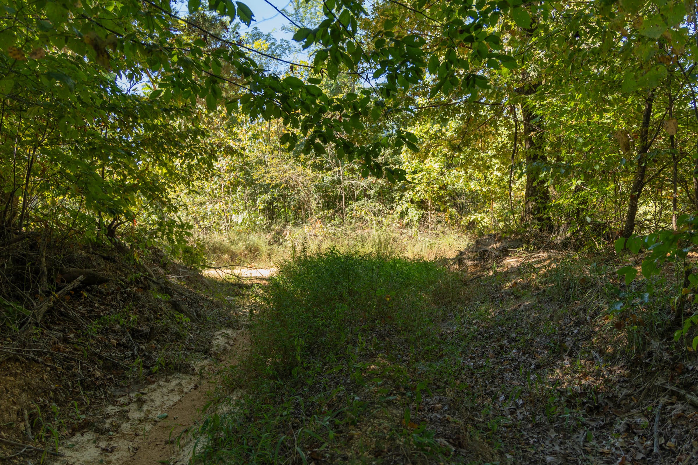 Big White Oak Tract 102 photo 2
