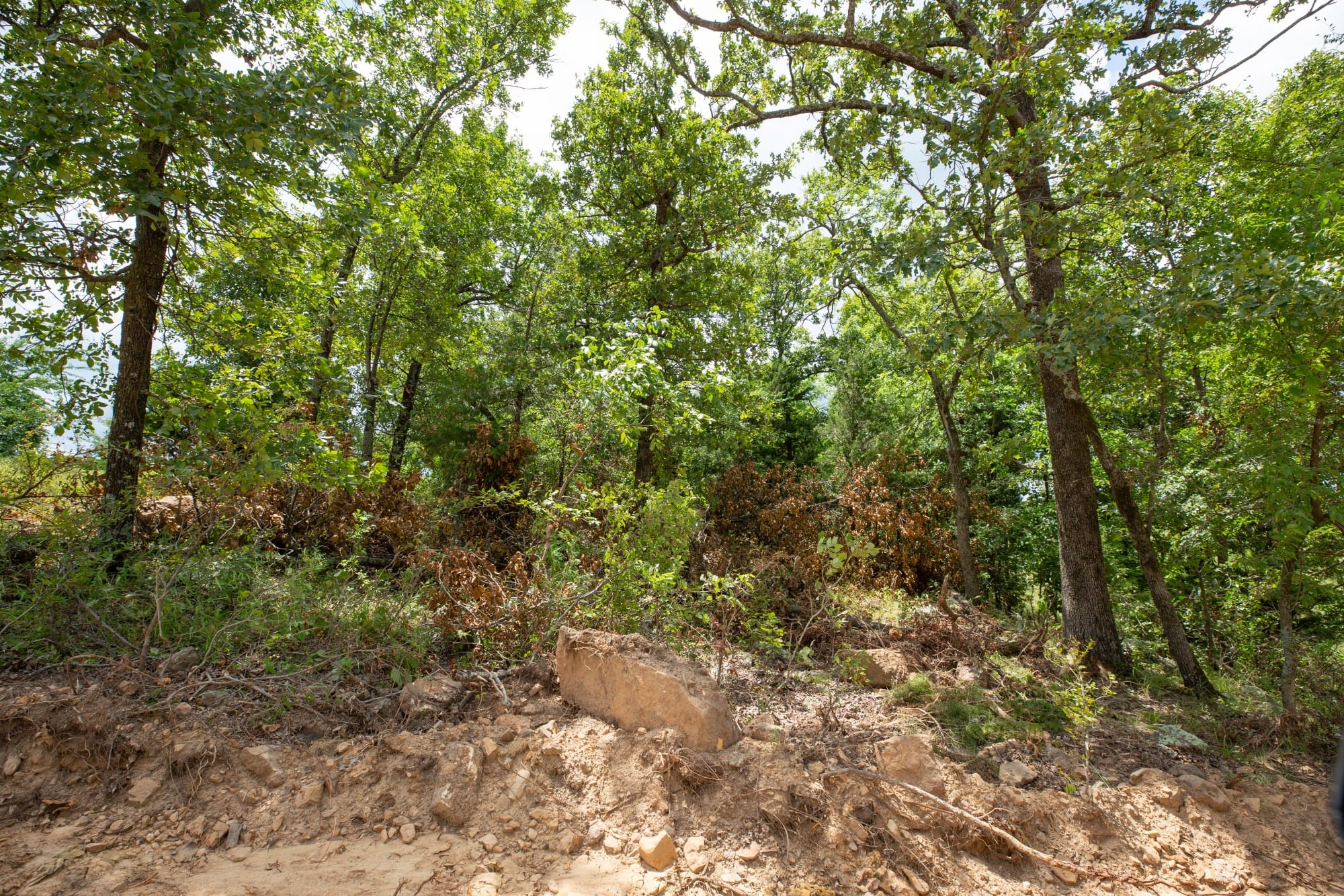 Paradise Valley Tract 12 photo 2