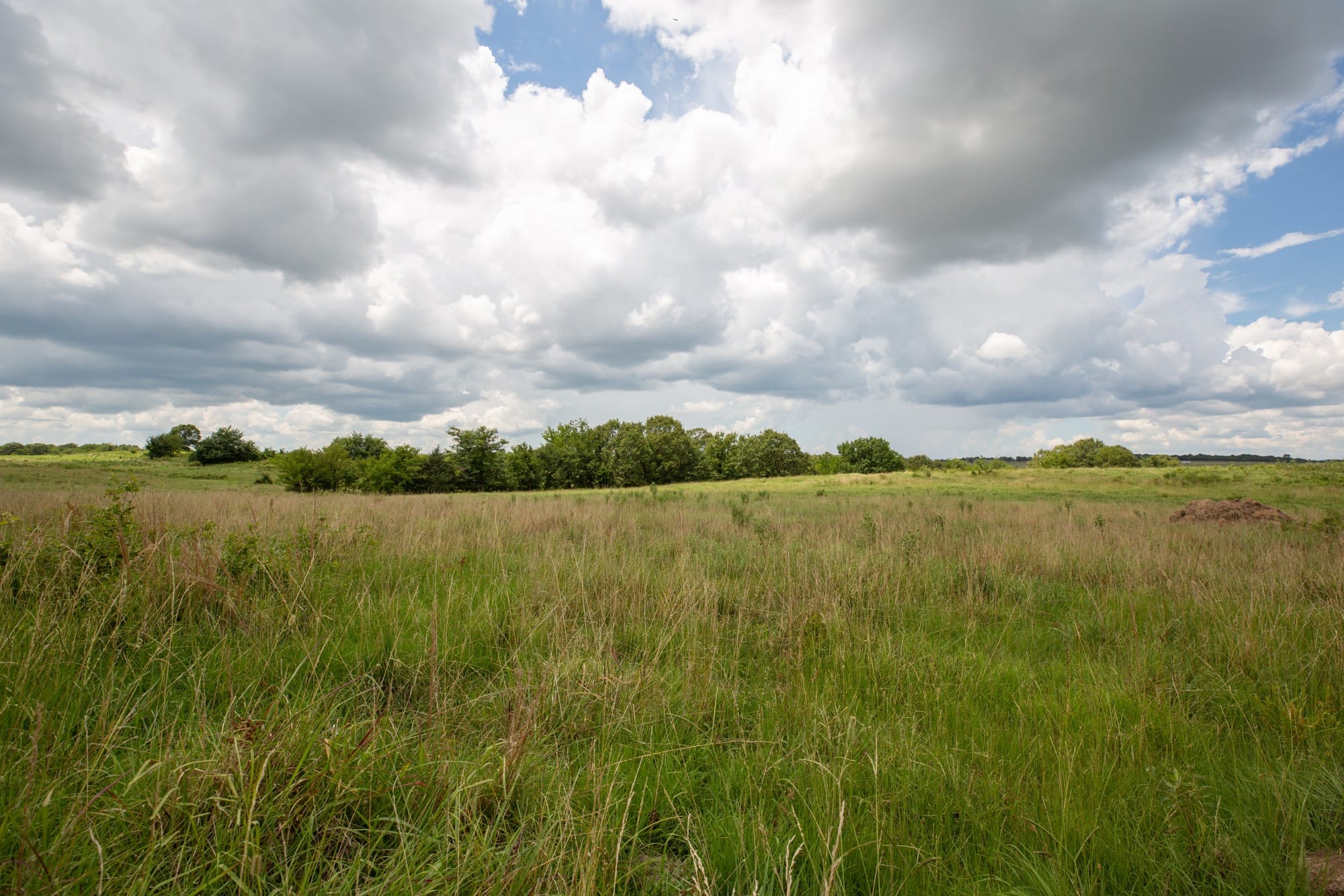 Paradise Valley Tract 12 photo 4