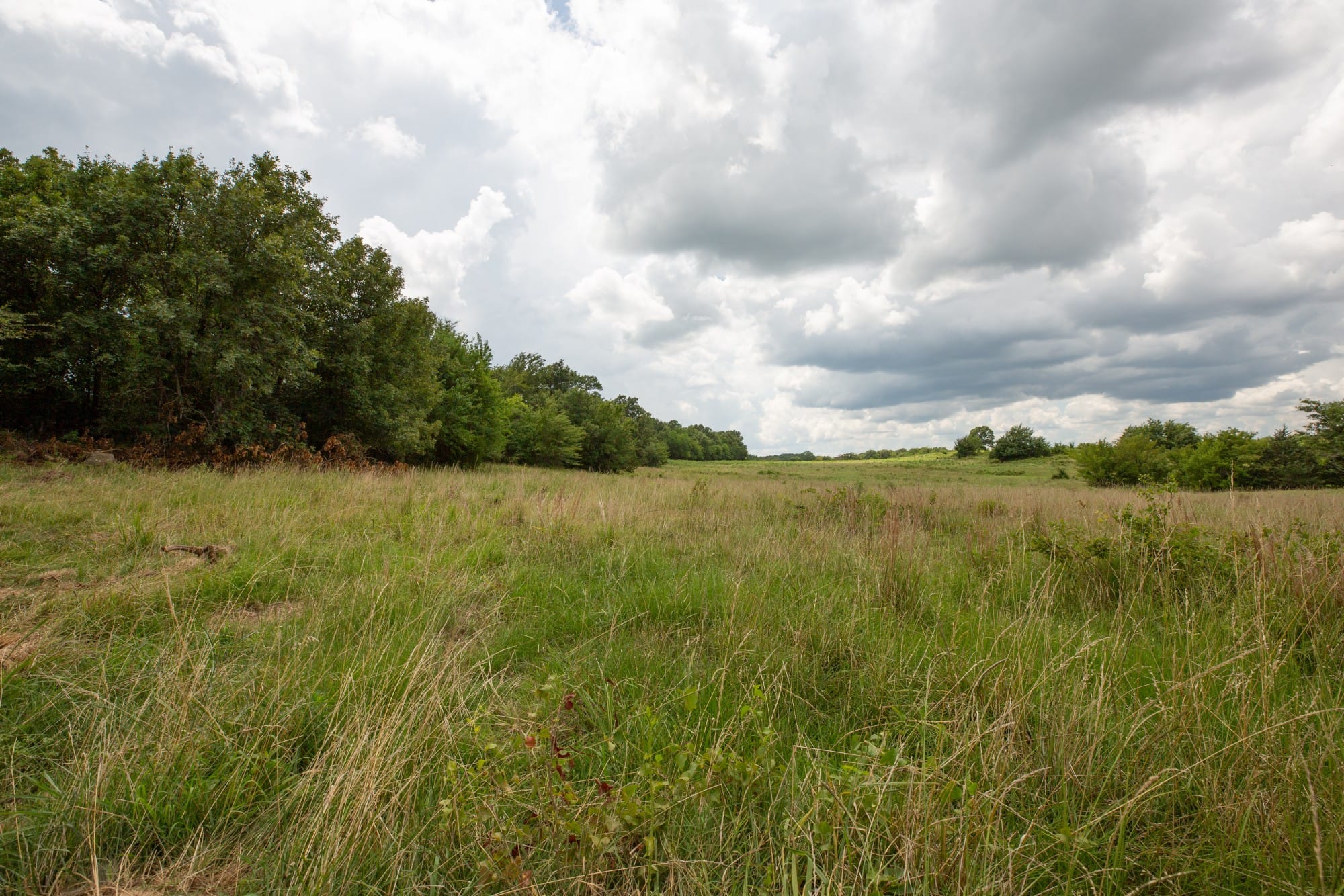 Paradise Valley Tract 12 photo 3