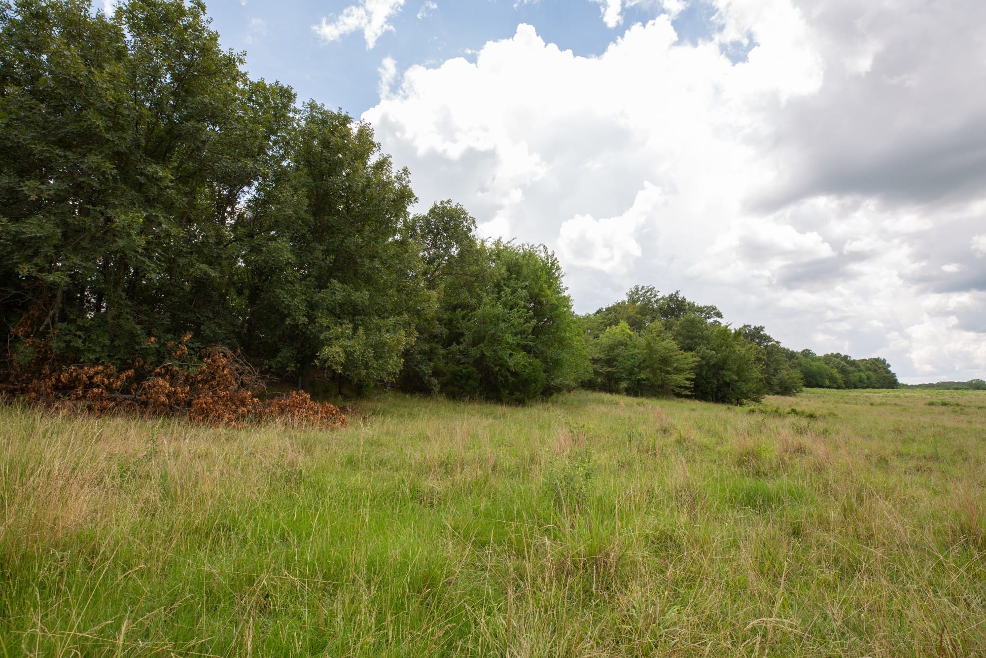 Paradise Valley Tract 12 photo 5