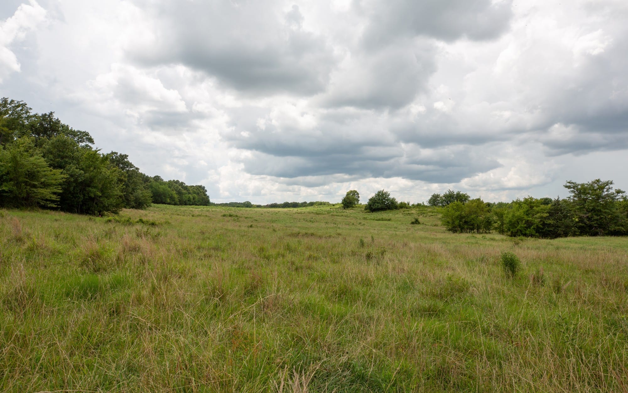 Paradise Valley Tract 12 photo 6