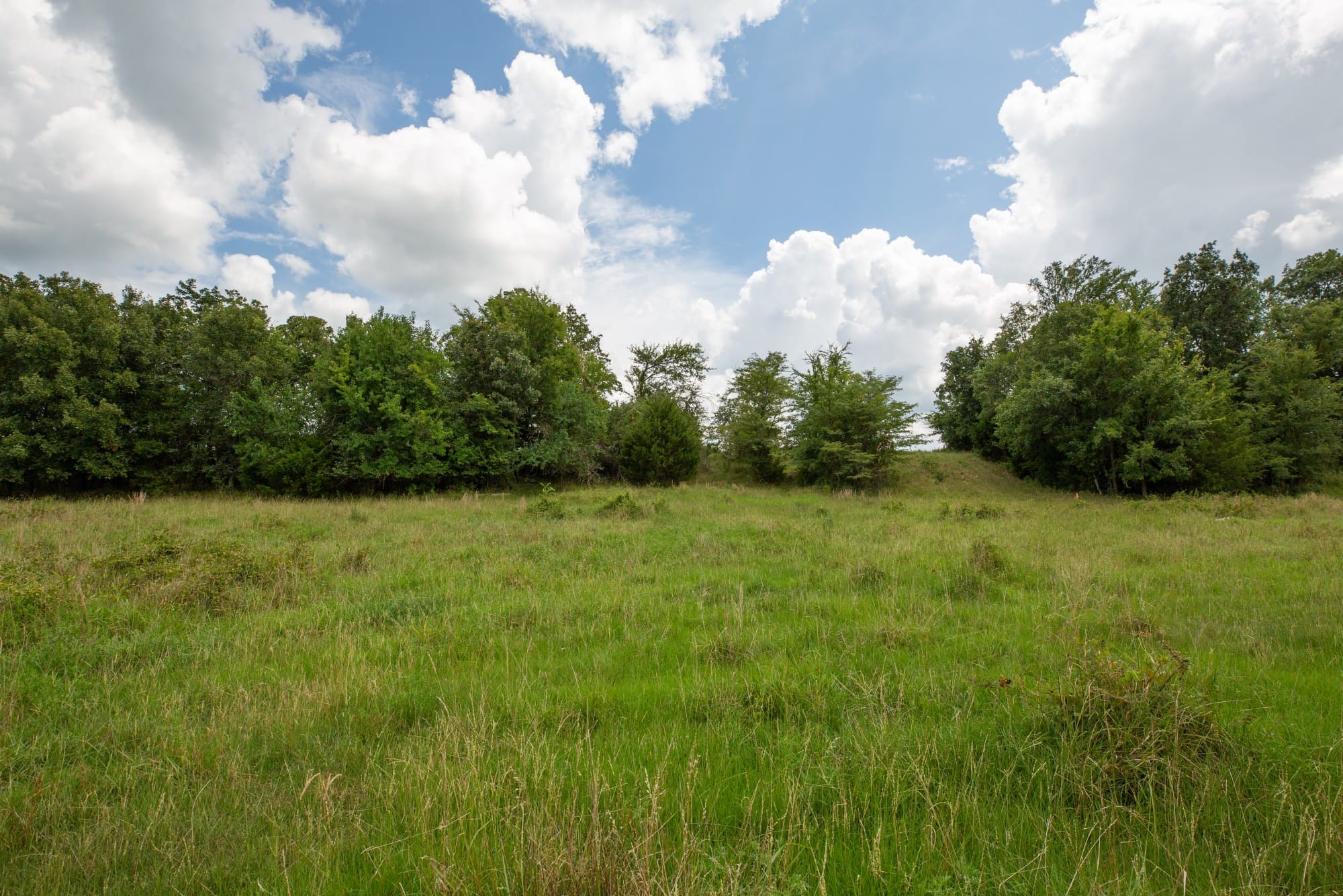 Paradise Valley Tract 12 photo 7