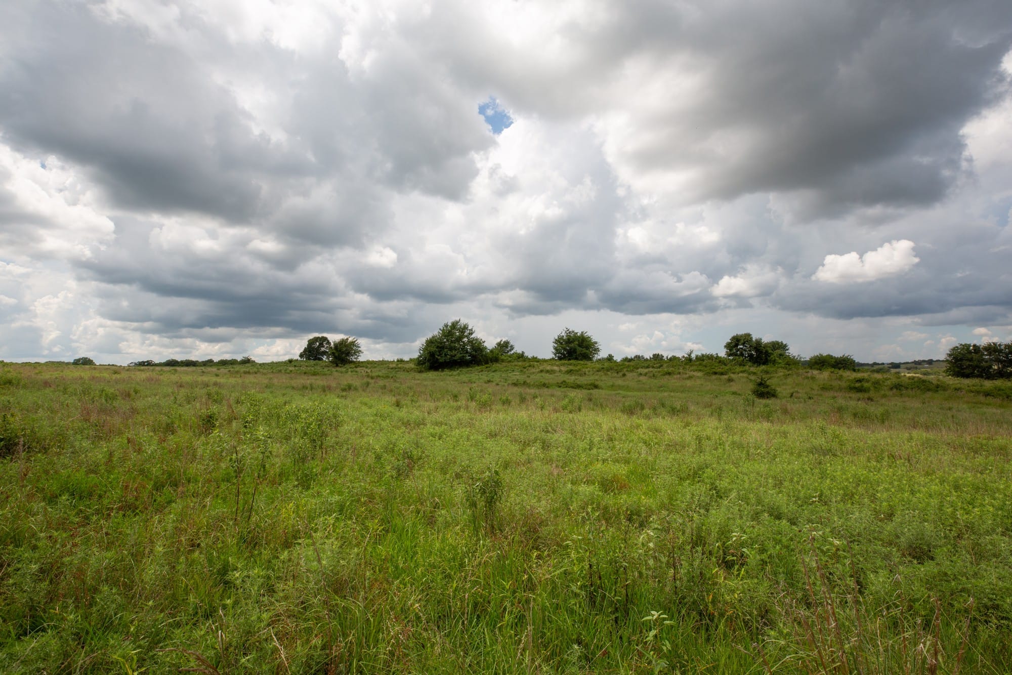 Paradise Valley Tract 12 photo 11
