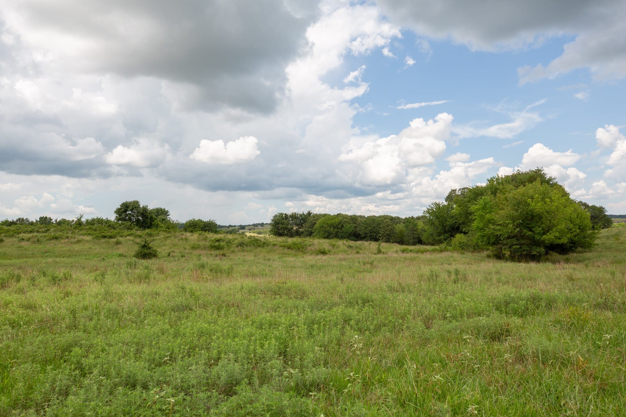 Paradise Valley Tract 12 photo 10