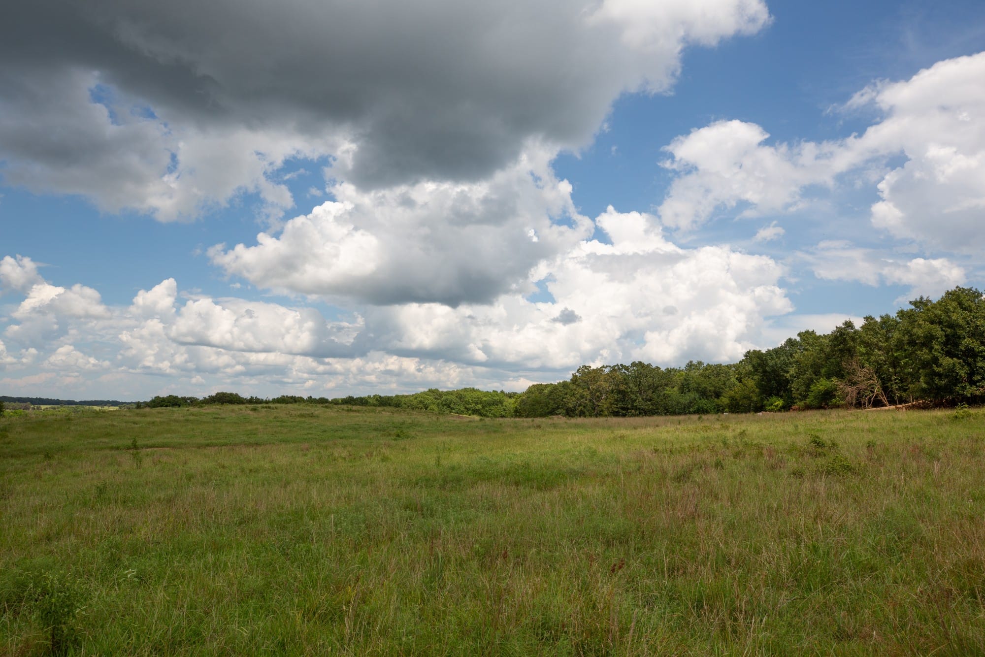 Paradise Valley Tract 12 photo 9