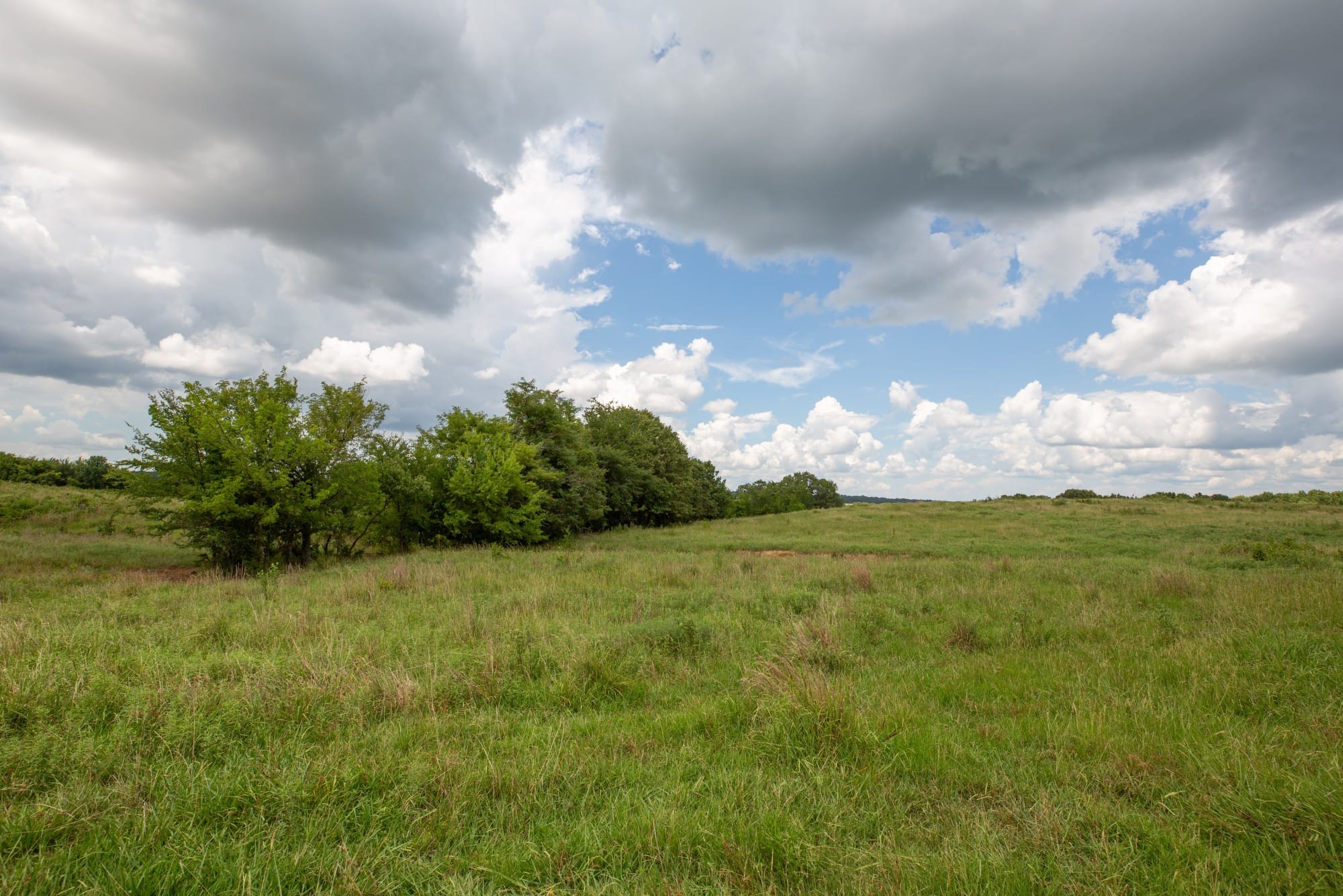 Paradise Valley Tract 12 photo 12