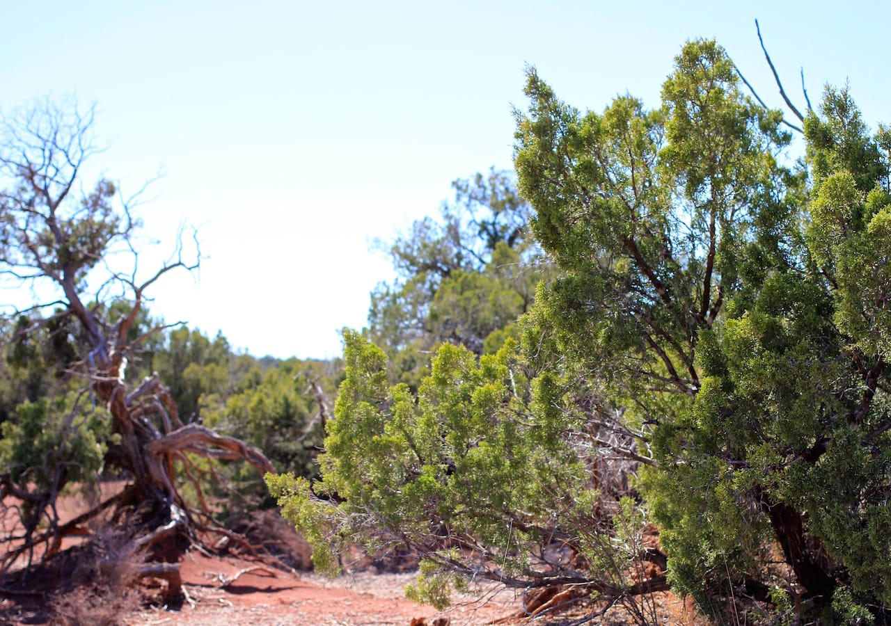 Red Rock Ranch Tract 12 photo 3