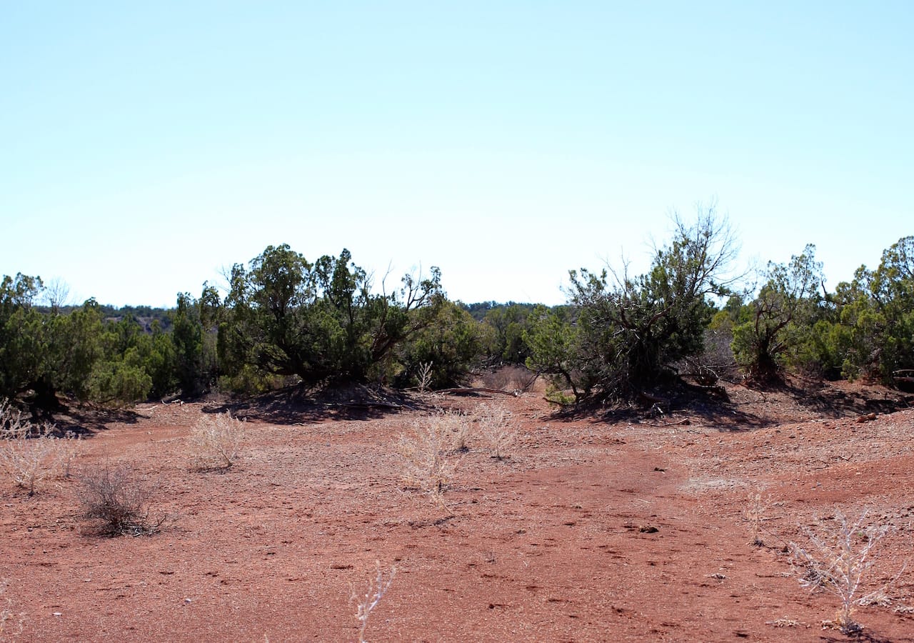 Red Rock Ranch Tract 12 photo 5