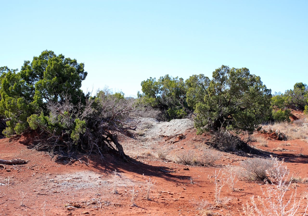 Red Rock Ranch Tract 12 photo 6