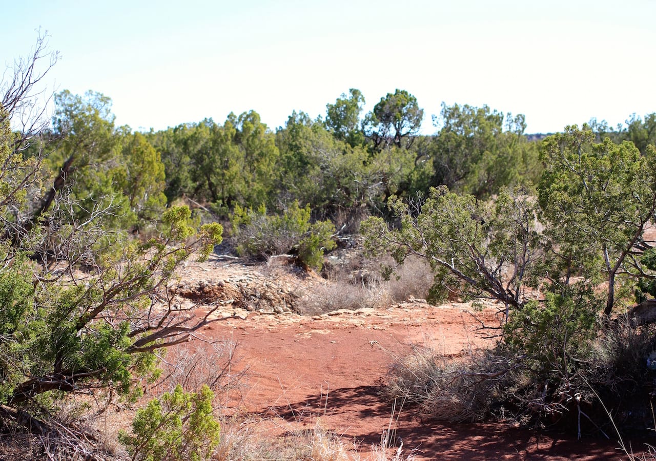 Red Rock Ranch Tract 12 photo 7