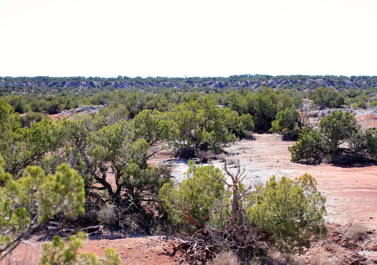 Red Rock Ranch Tract 12 photo 8