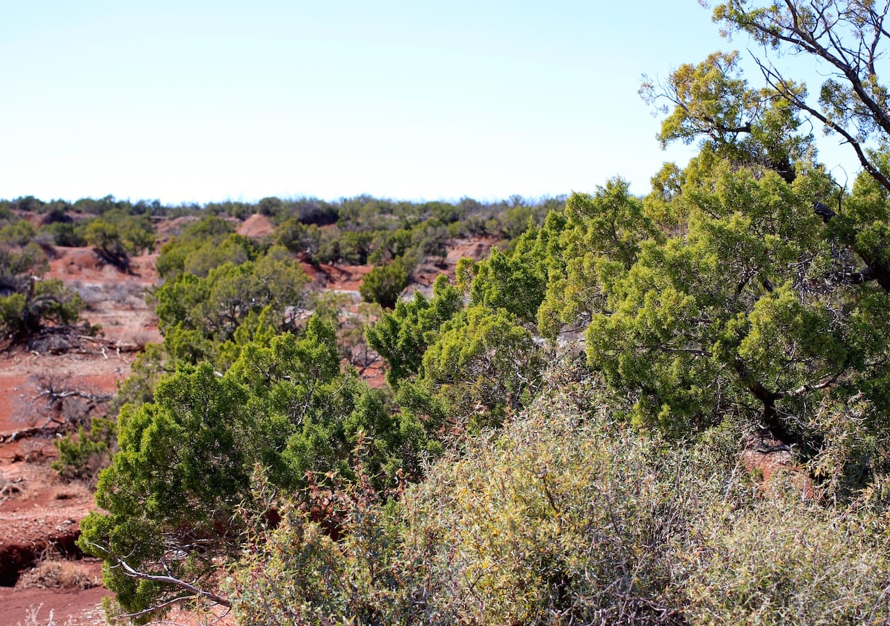 Red Rock Ranch Tract 12 photo 9