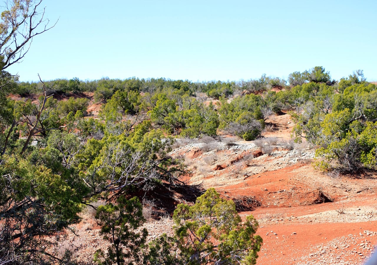 Red Rock Ranch Tract 12 photo 10