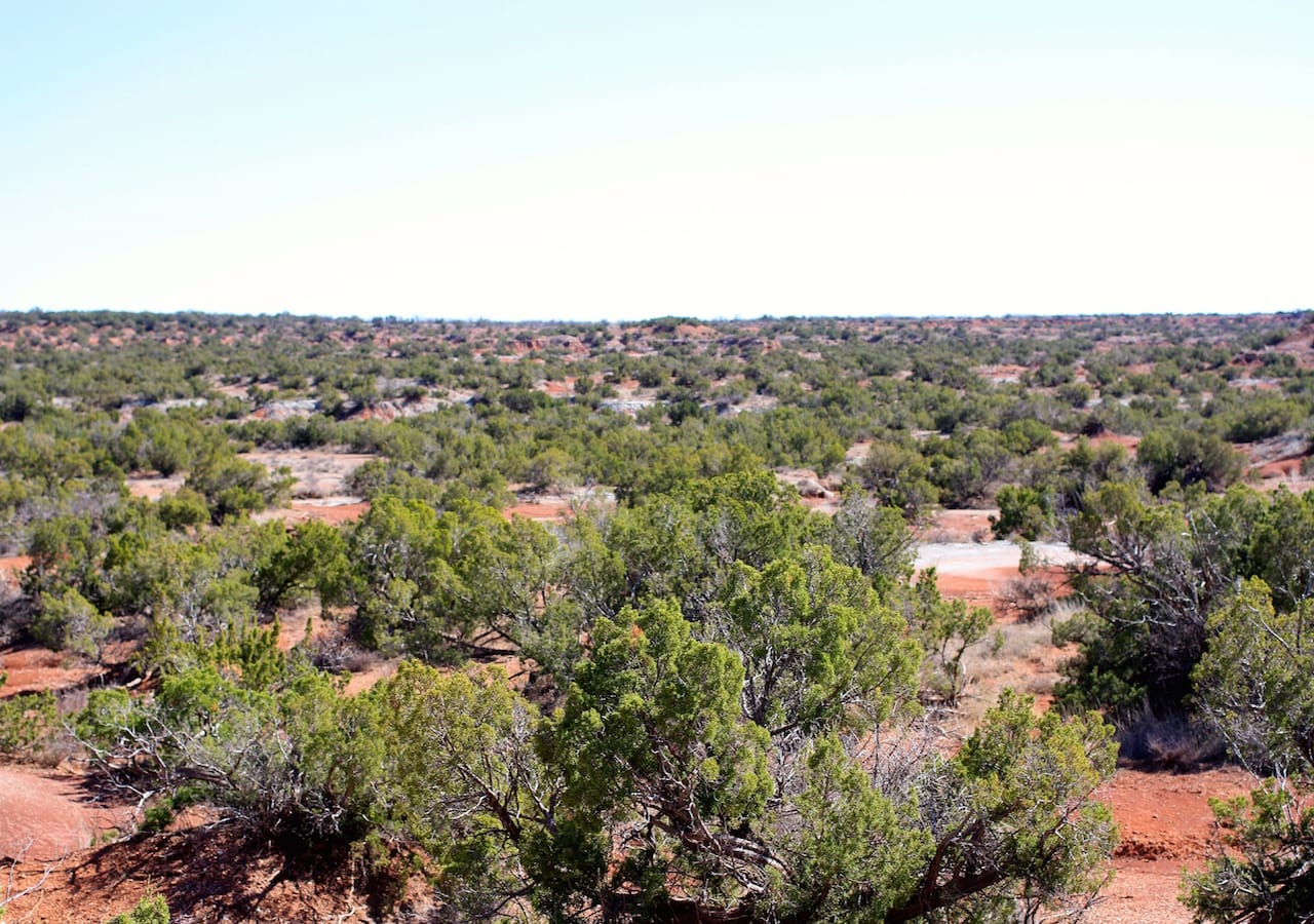 Red Rock Ranch Tract 12 photo 15
