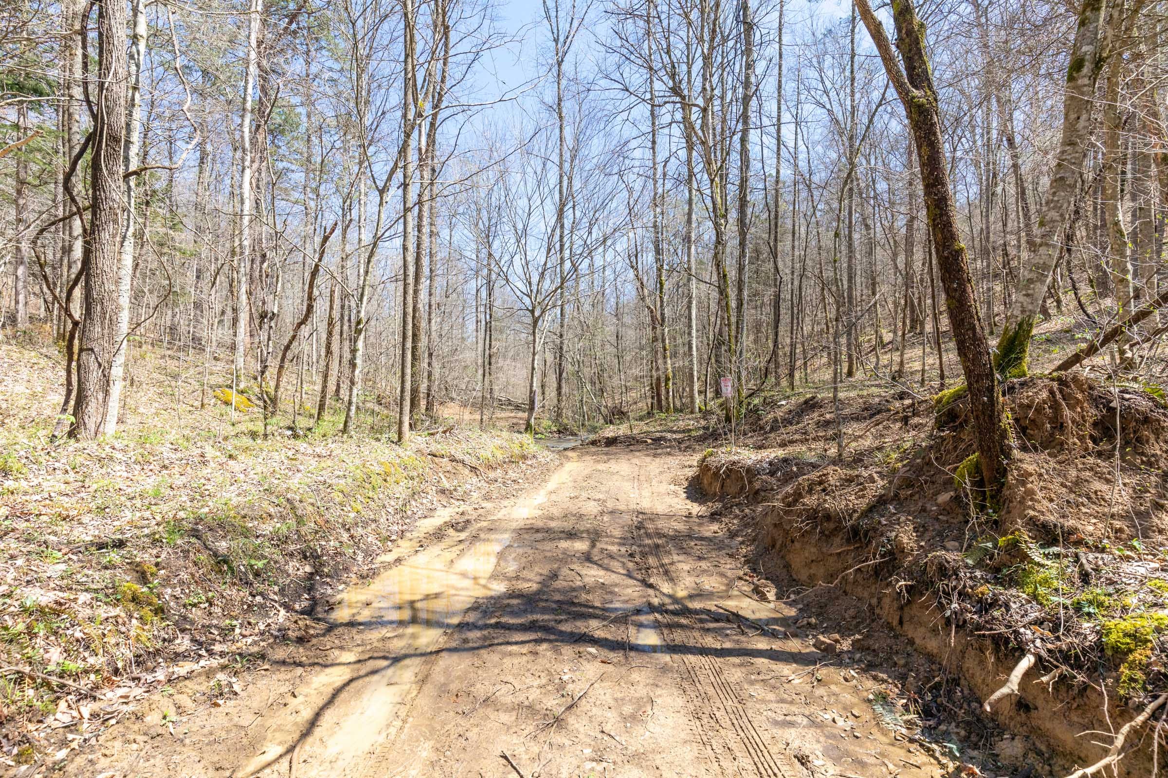Woodland Heights Tract 8 photo 1