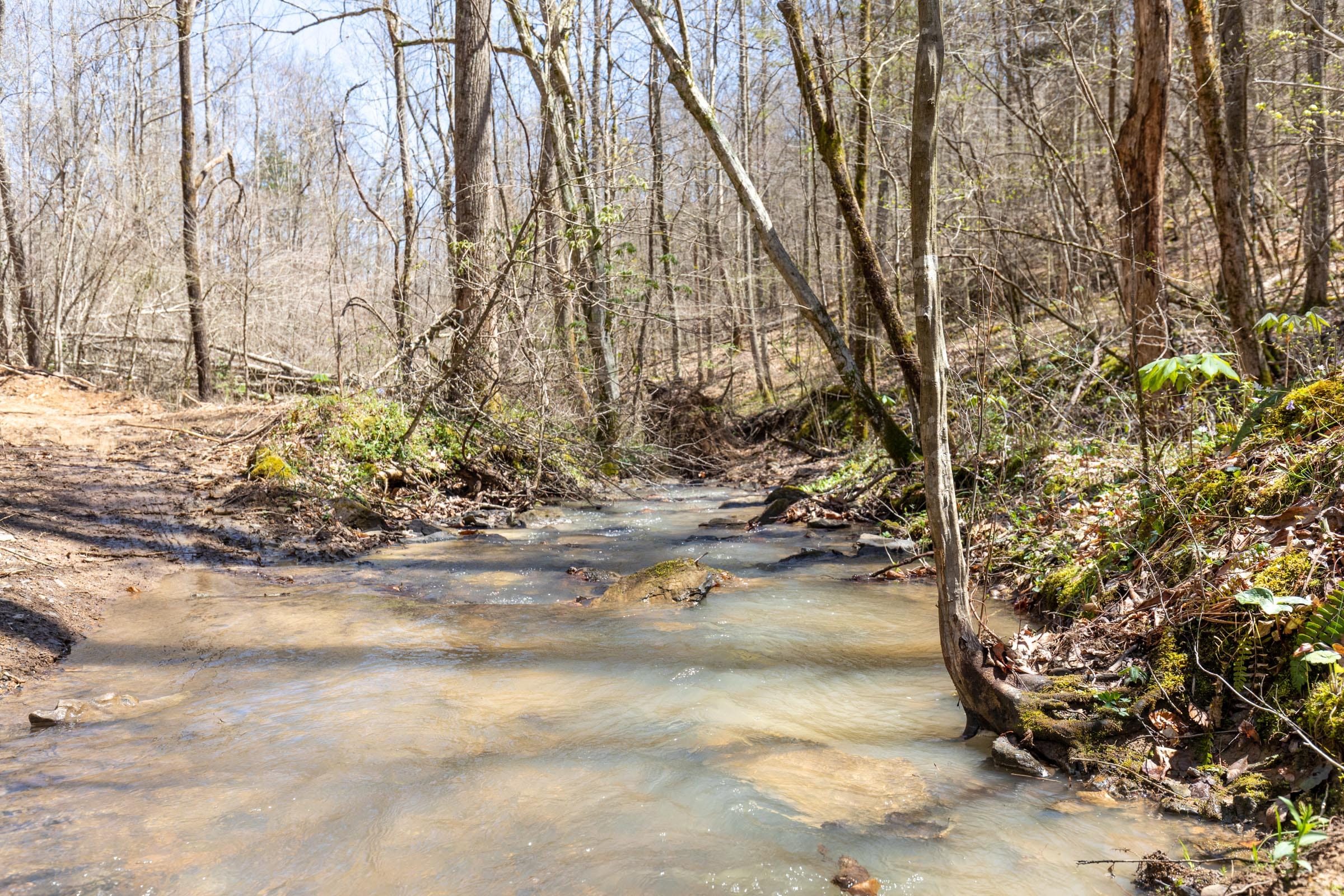 Woodland Heights Tract 8 photo 2