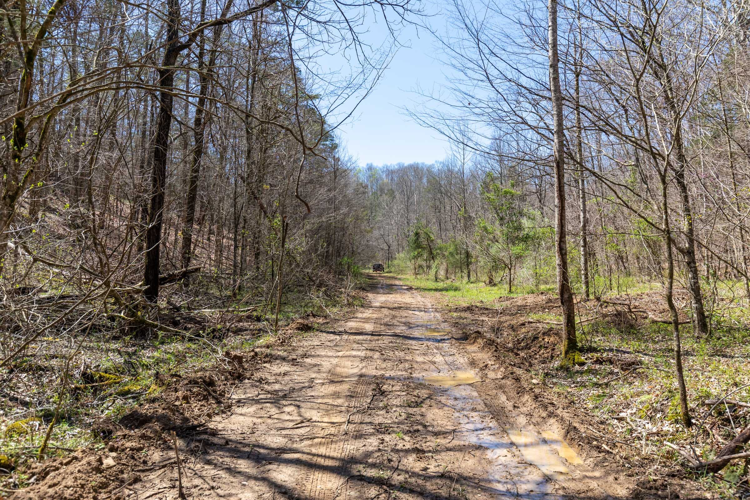 Woodland Heights Tract 8 photo 6