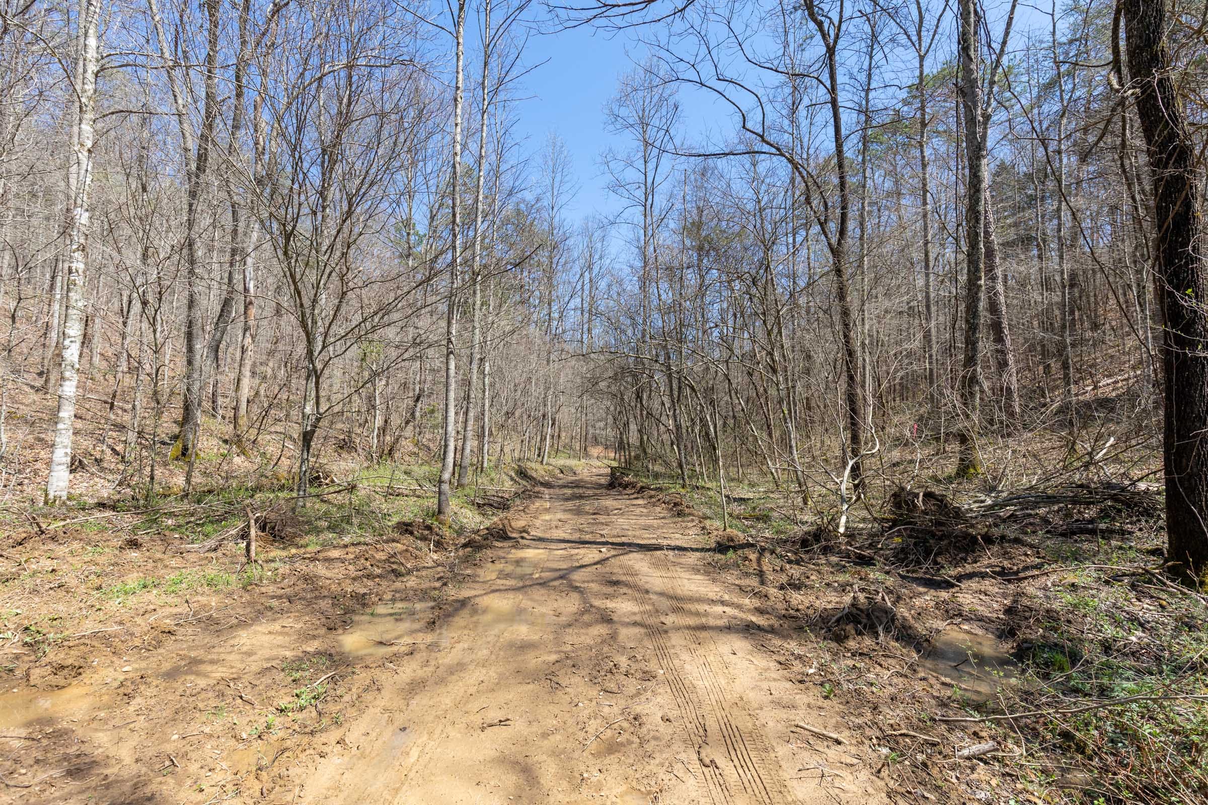 Woodland Heights Tract 8 photo 10