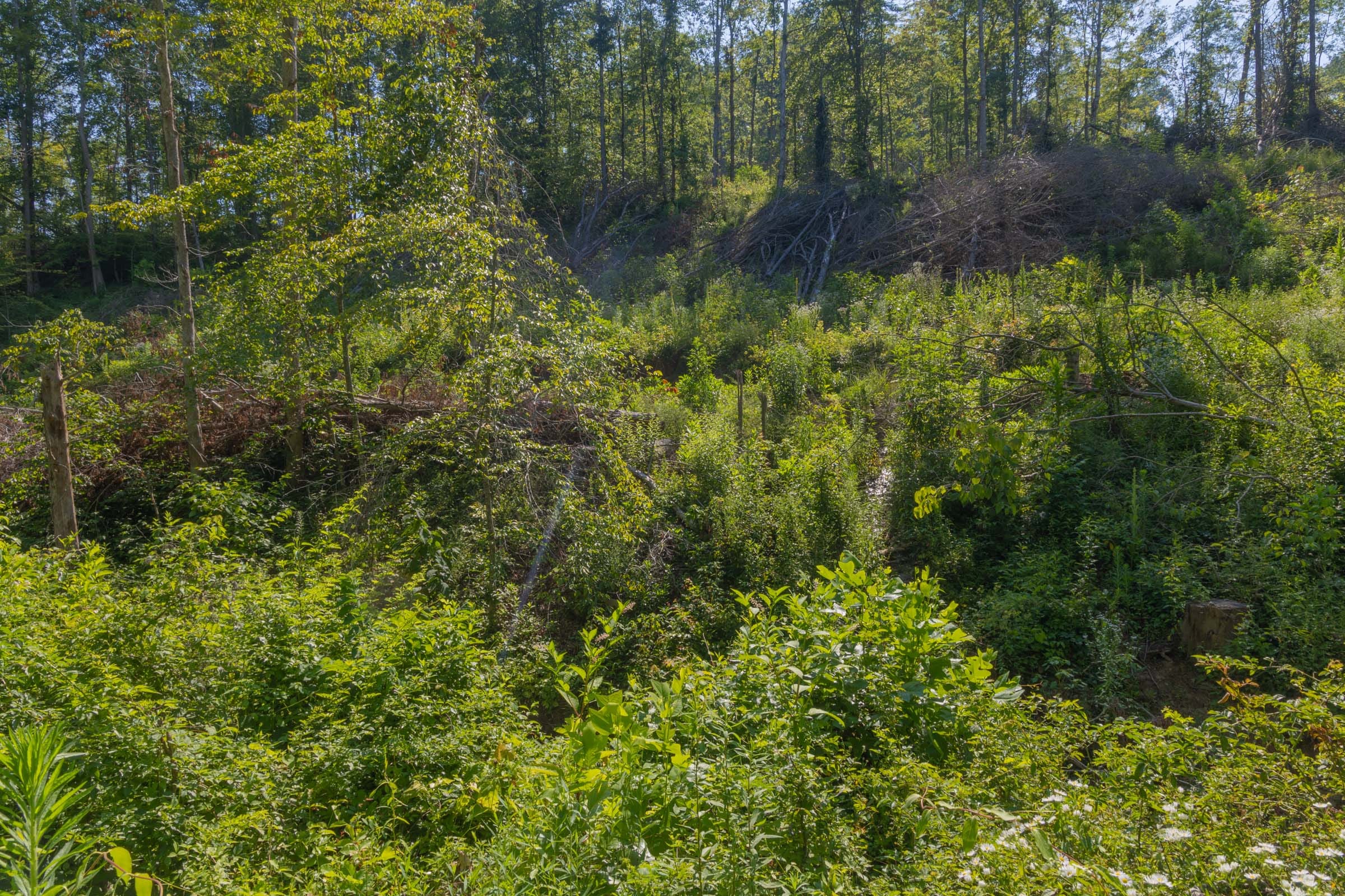 Creek Hollow Phase II Tract 78 photo 18
