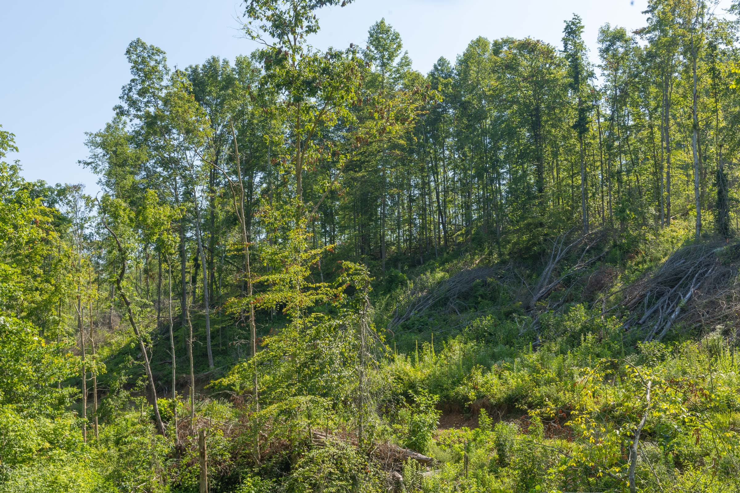 Creek Hollow Phase II Tract 78 photo 1