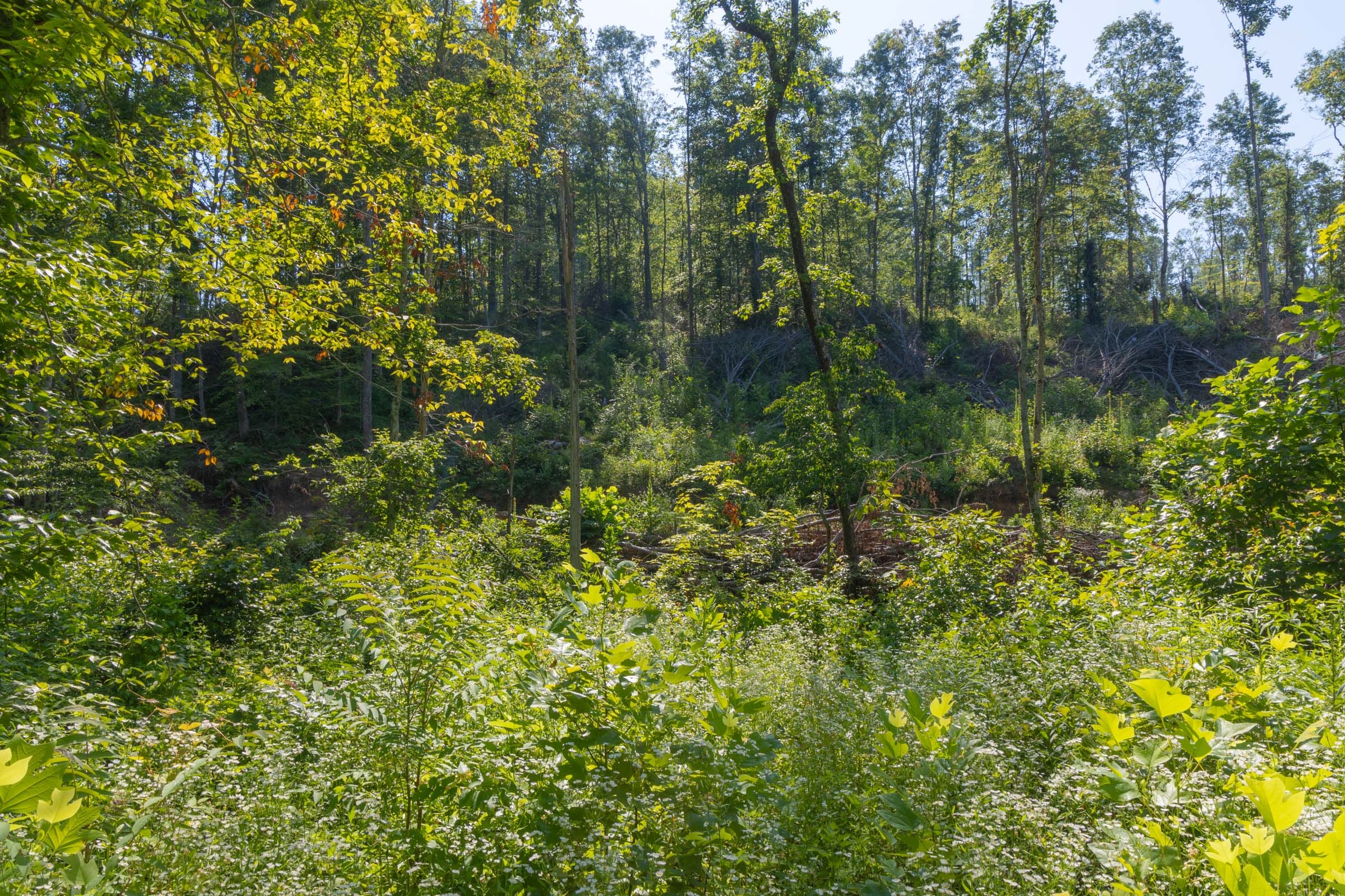Creek Hollow Phase II Tract 78 photo 16