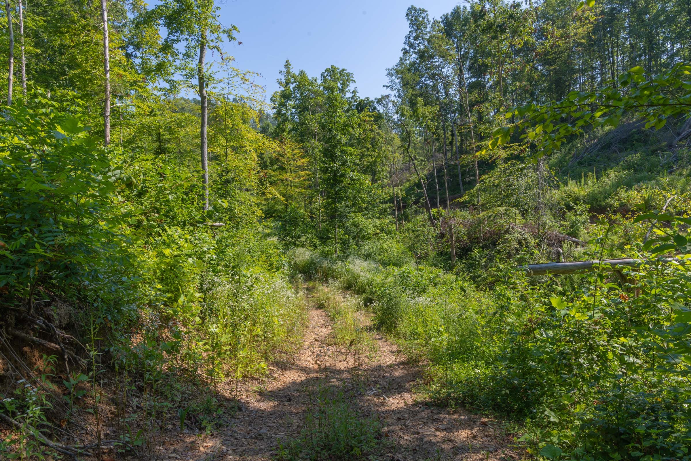 Creek Hollow Phase II Tract 78 photo 15