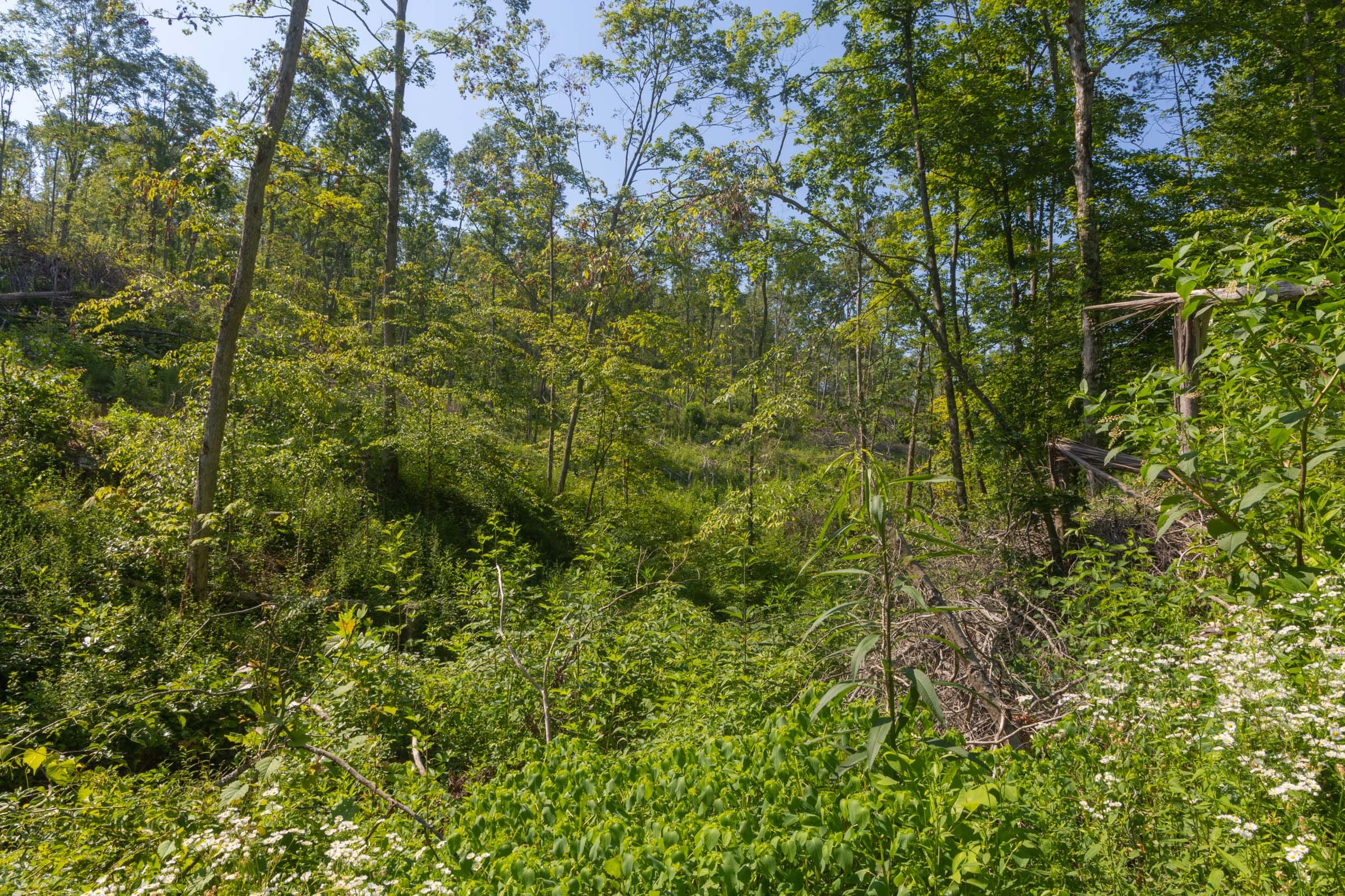 Creek Hollow Phase II Tract 78 photo 14