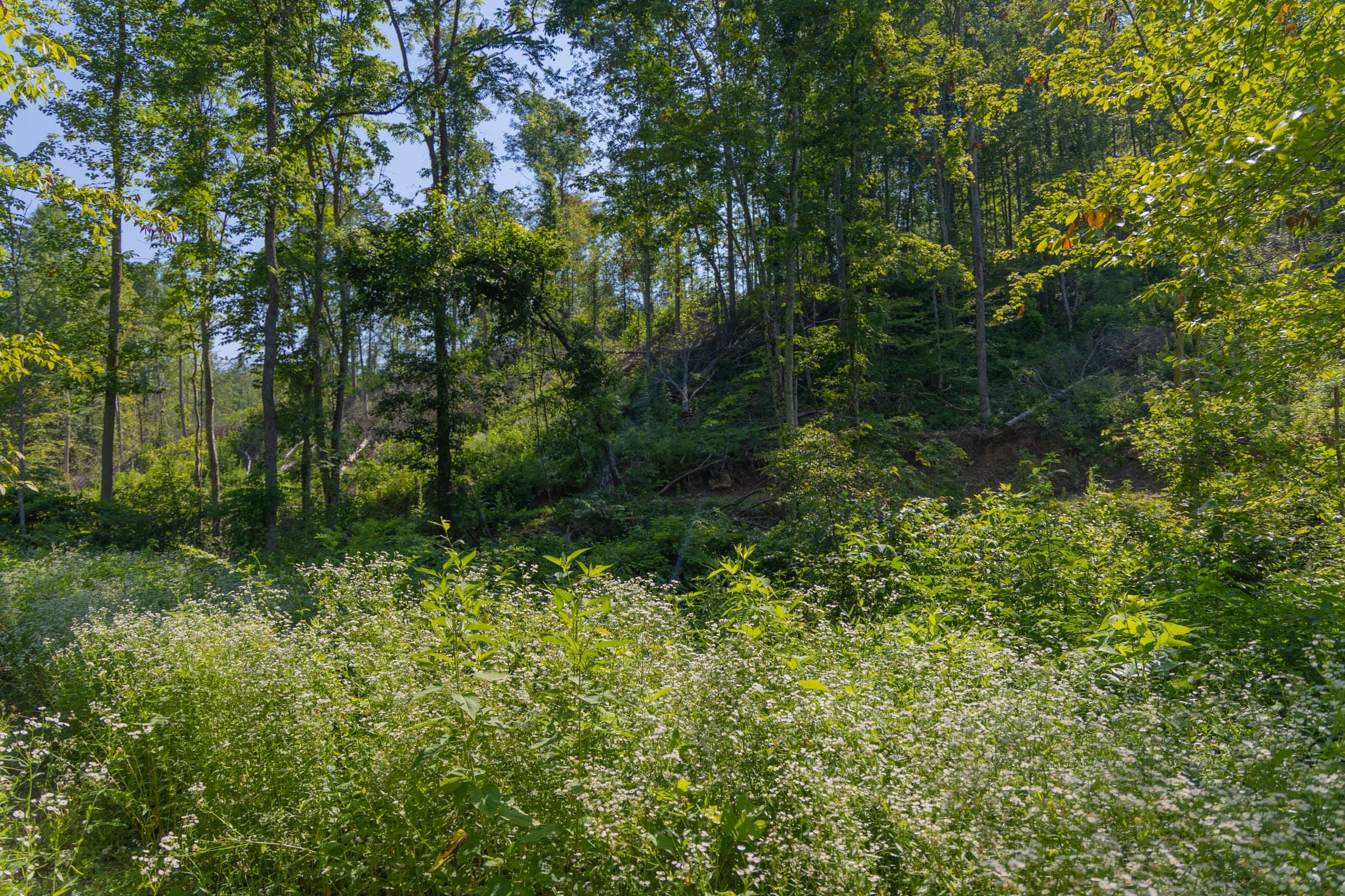 Creek Hollow Phase II Tract 78 photo 13