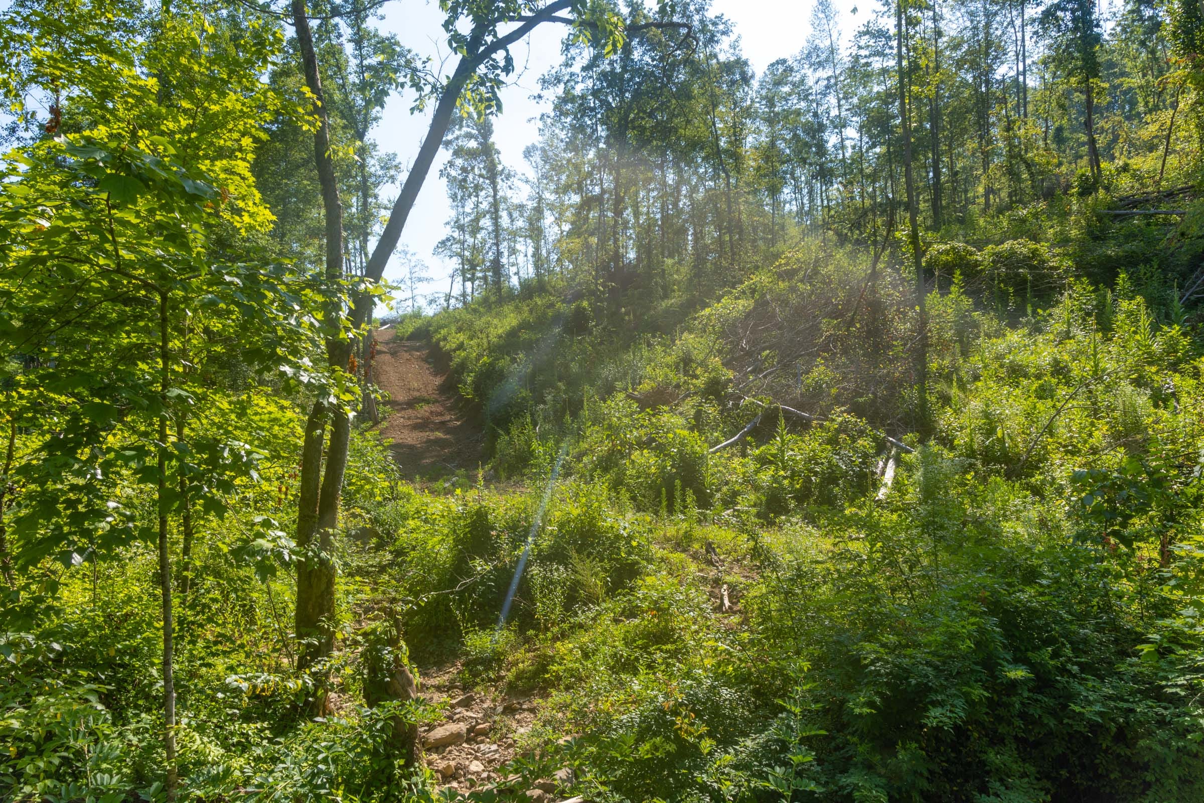 Creek Hollow Phase II Tract 78 photo 11