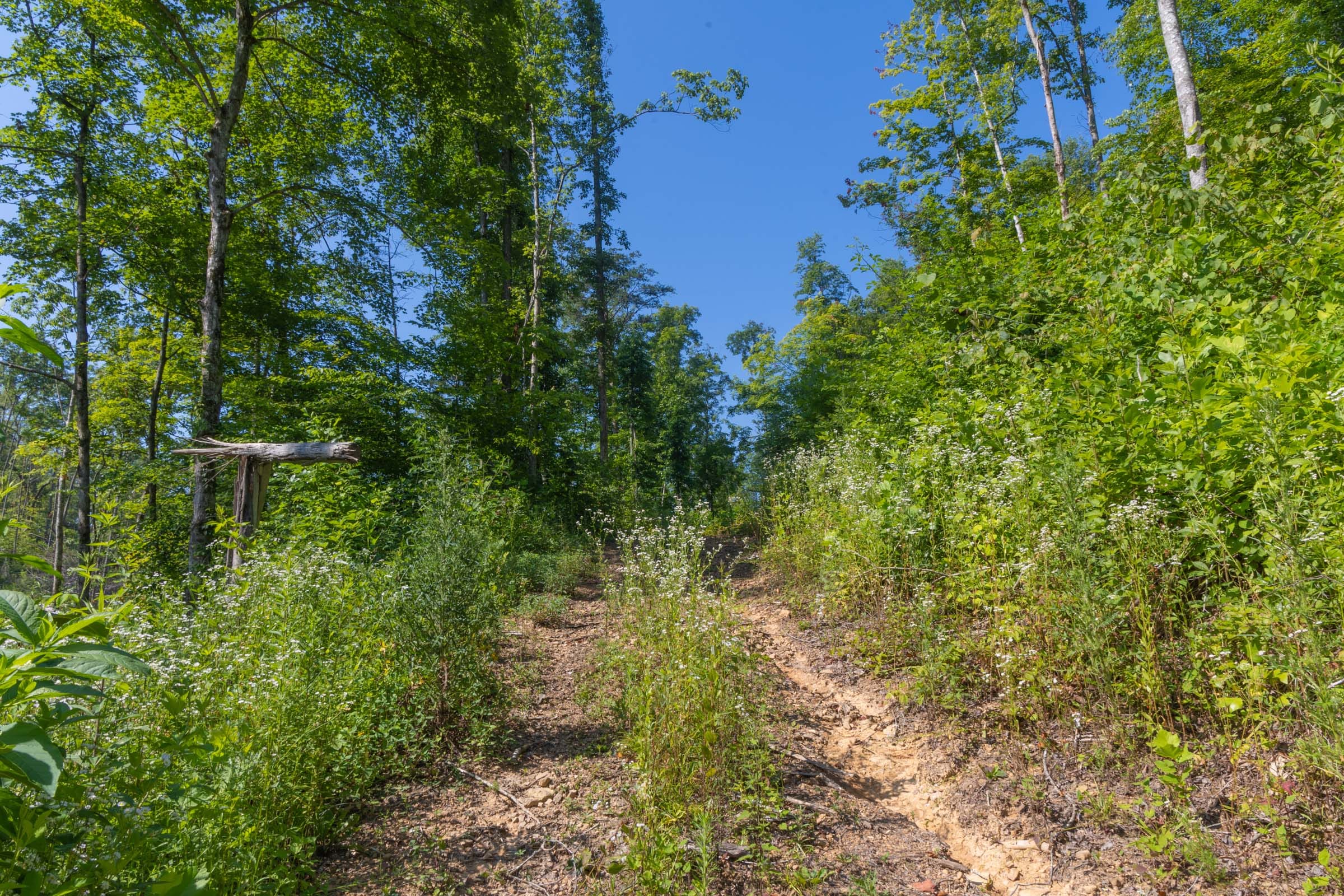 Creek Hollow Phase II Tract 78 photo 2