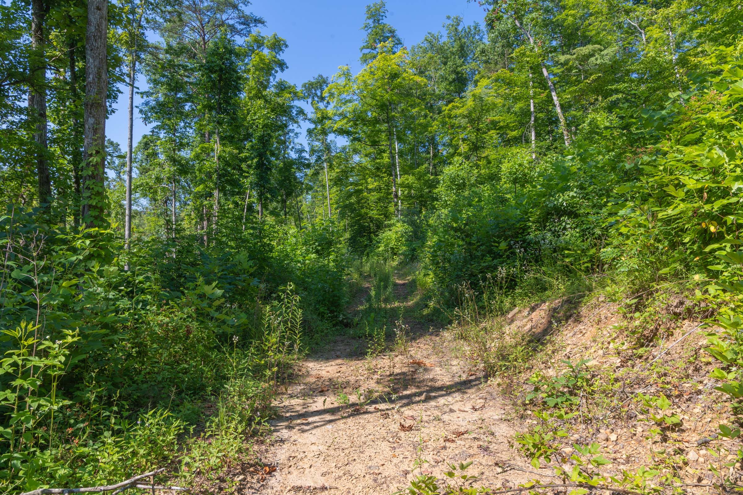 Creek Hollow Phase II Tract 78 photo 3