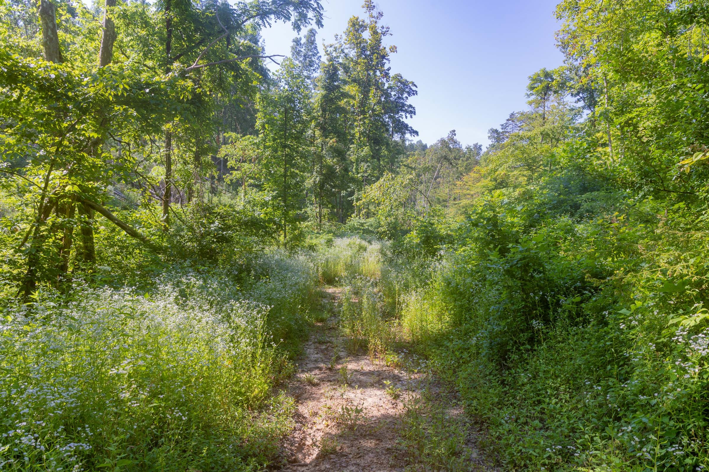 Creek Hollow Phase II Tract 78 photo 10
