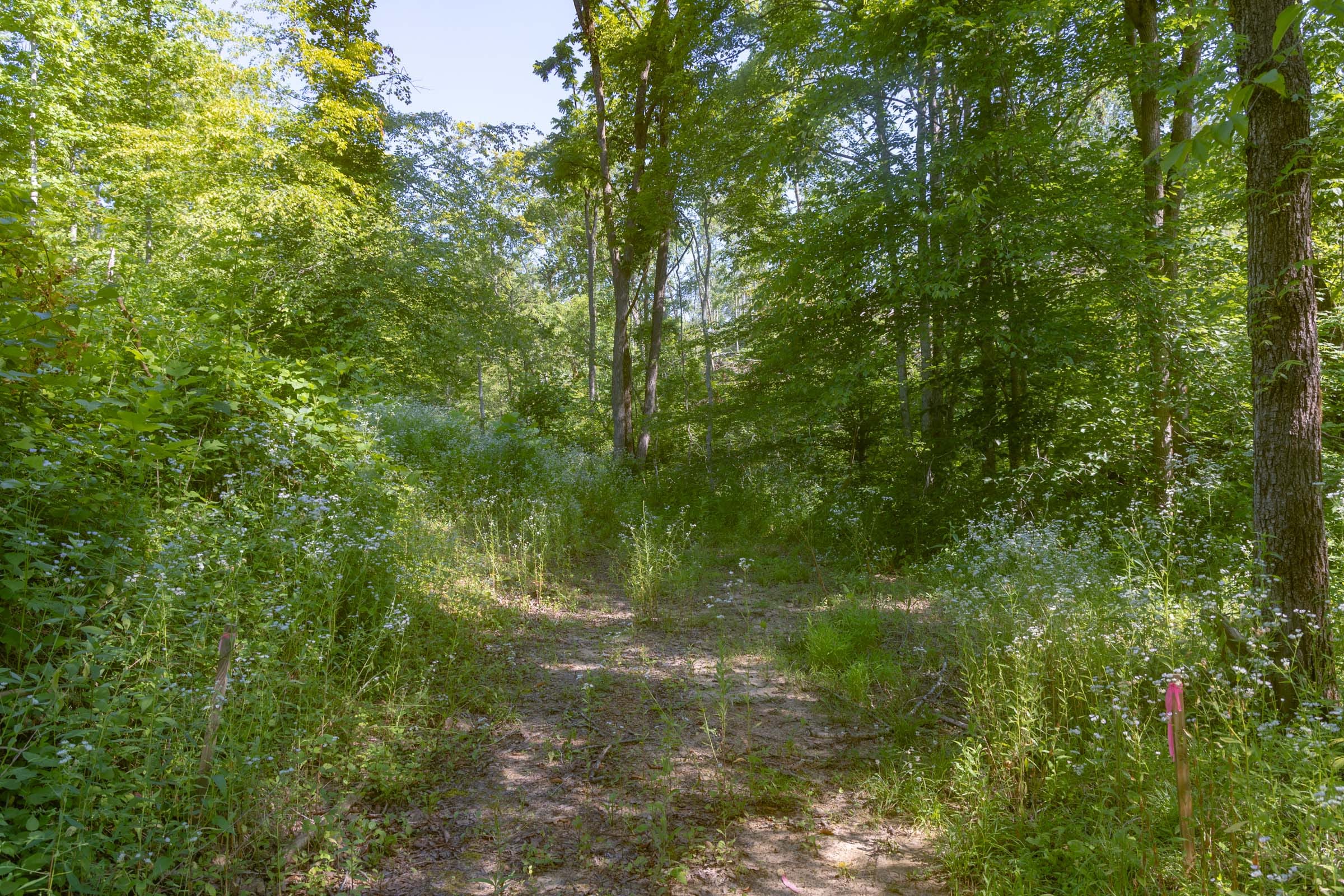 Creek Hollow Phase II Tract 78 photo 8