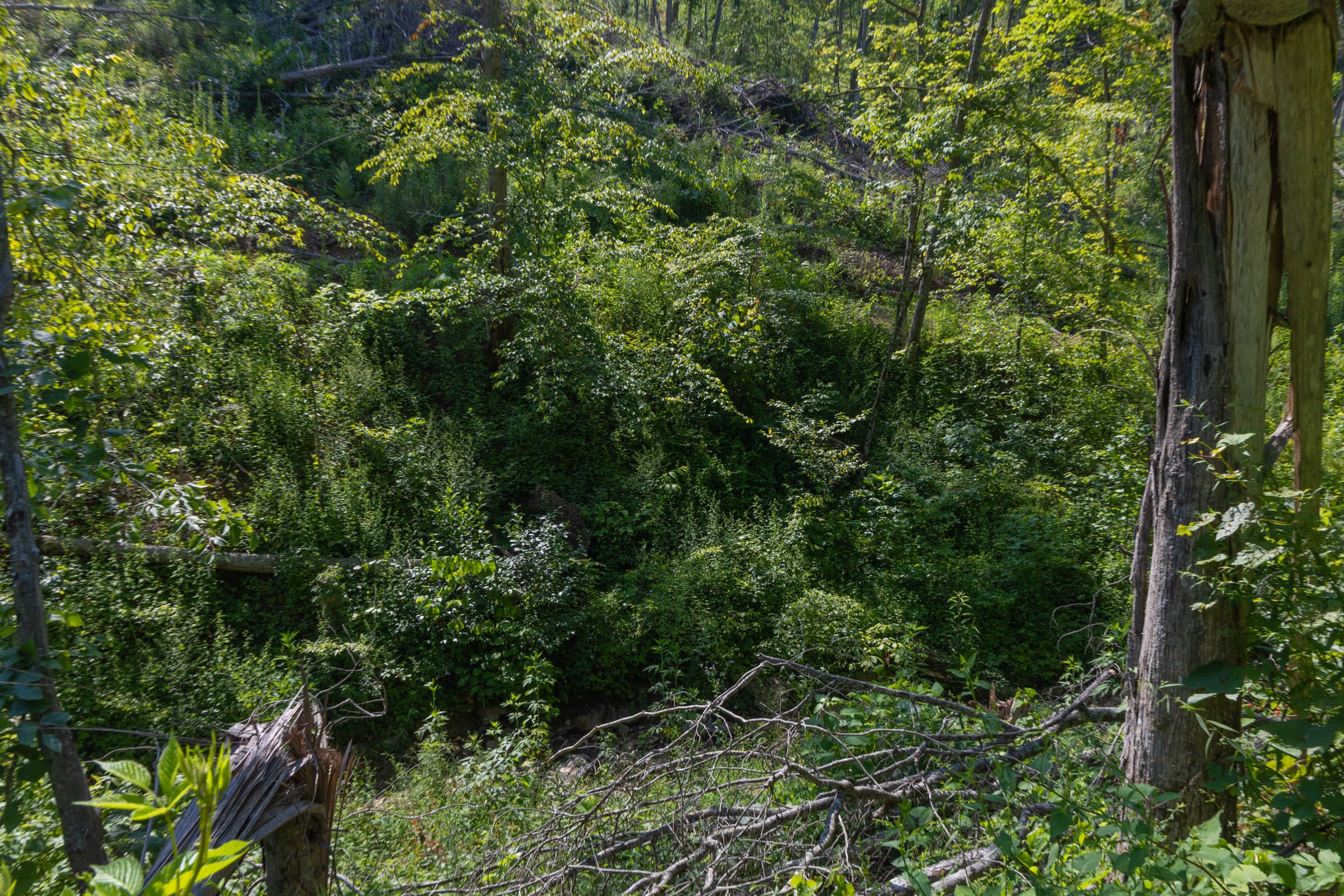 Creek Hollow Phase II Tract 78 photo 6