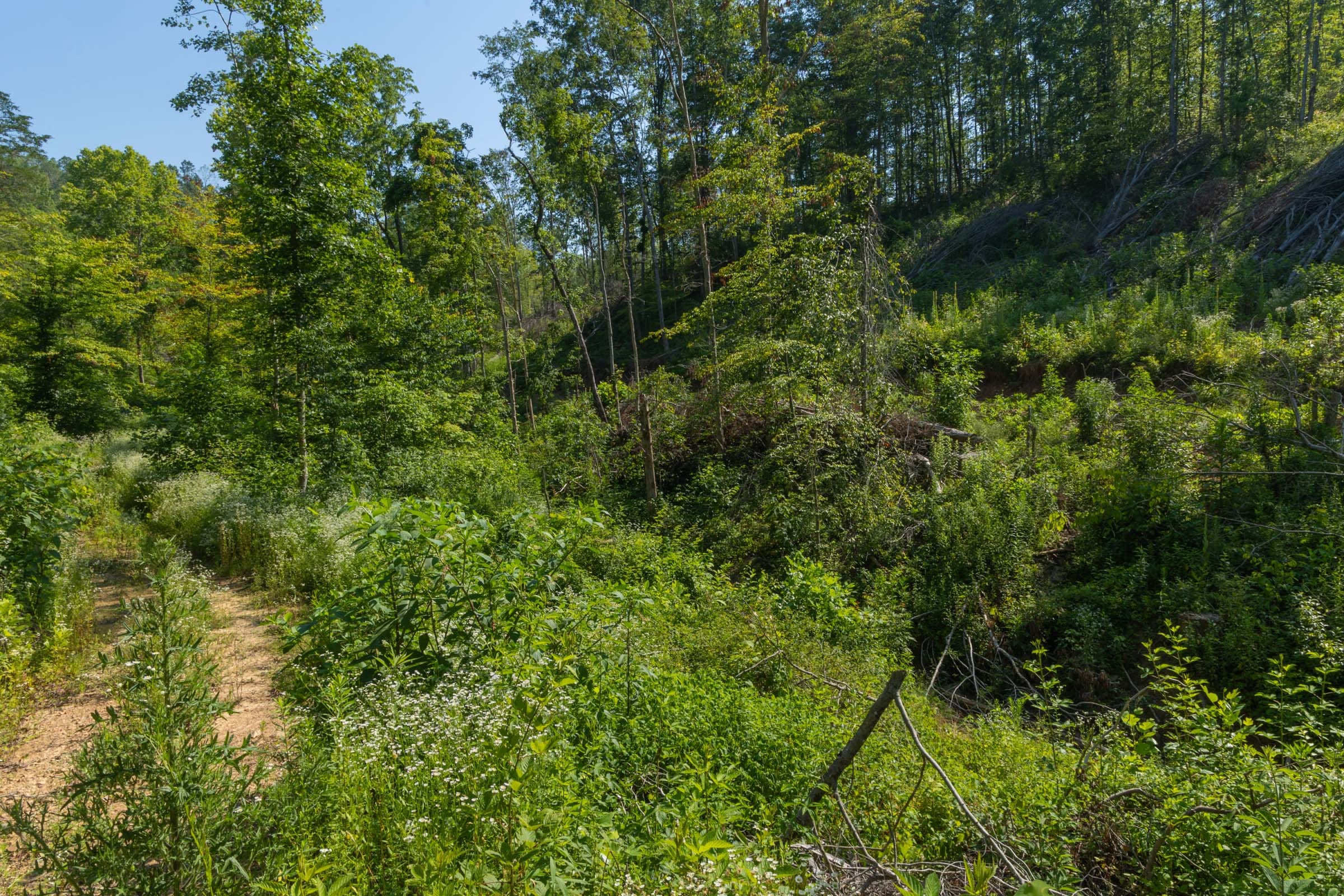 Creek Hollow Phase II Tract 78 photo 4