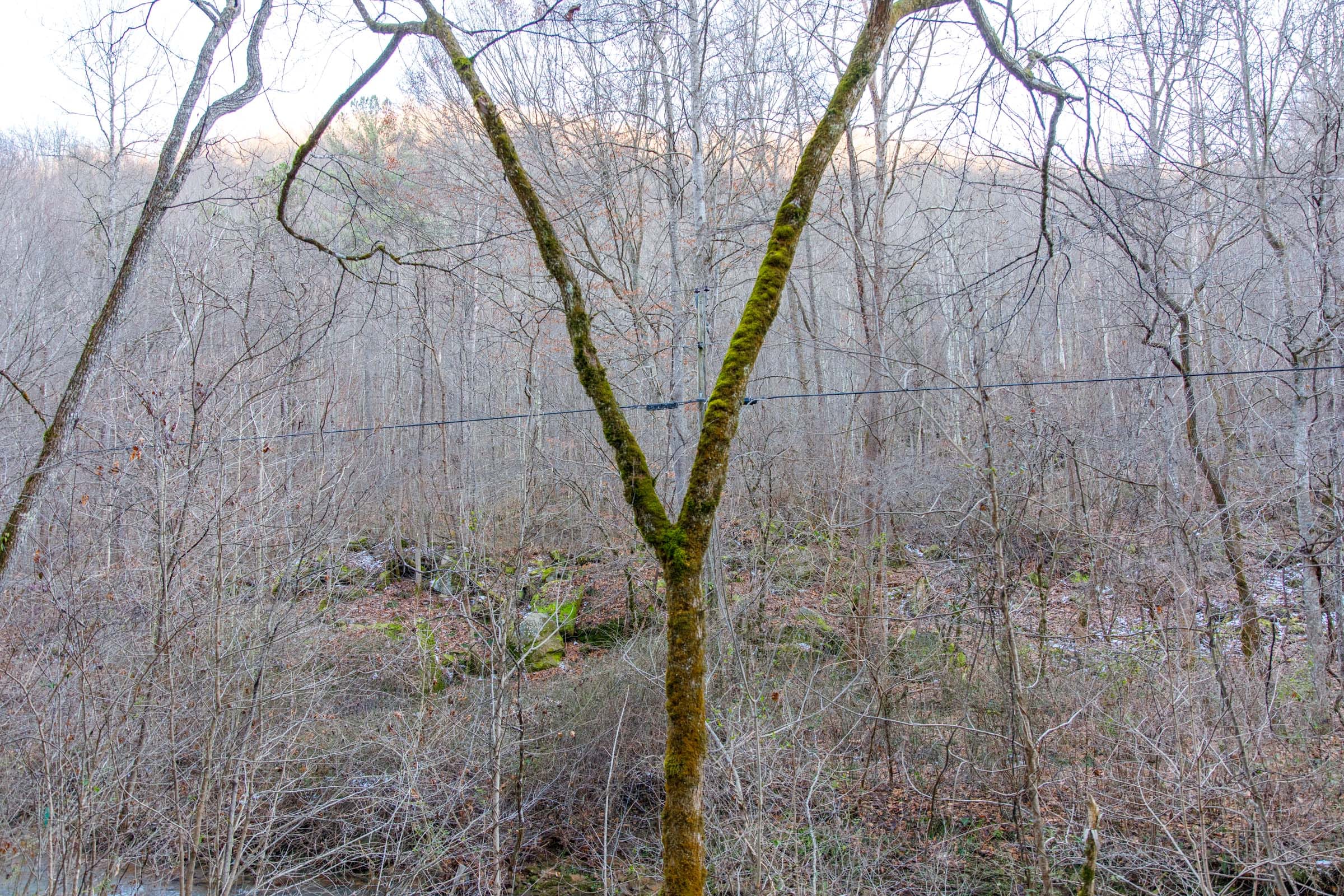 Blackstone Mountain Phase I Tract 5 photo 3