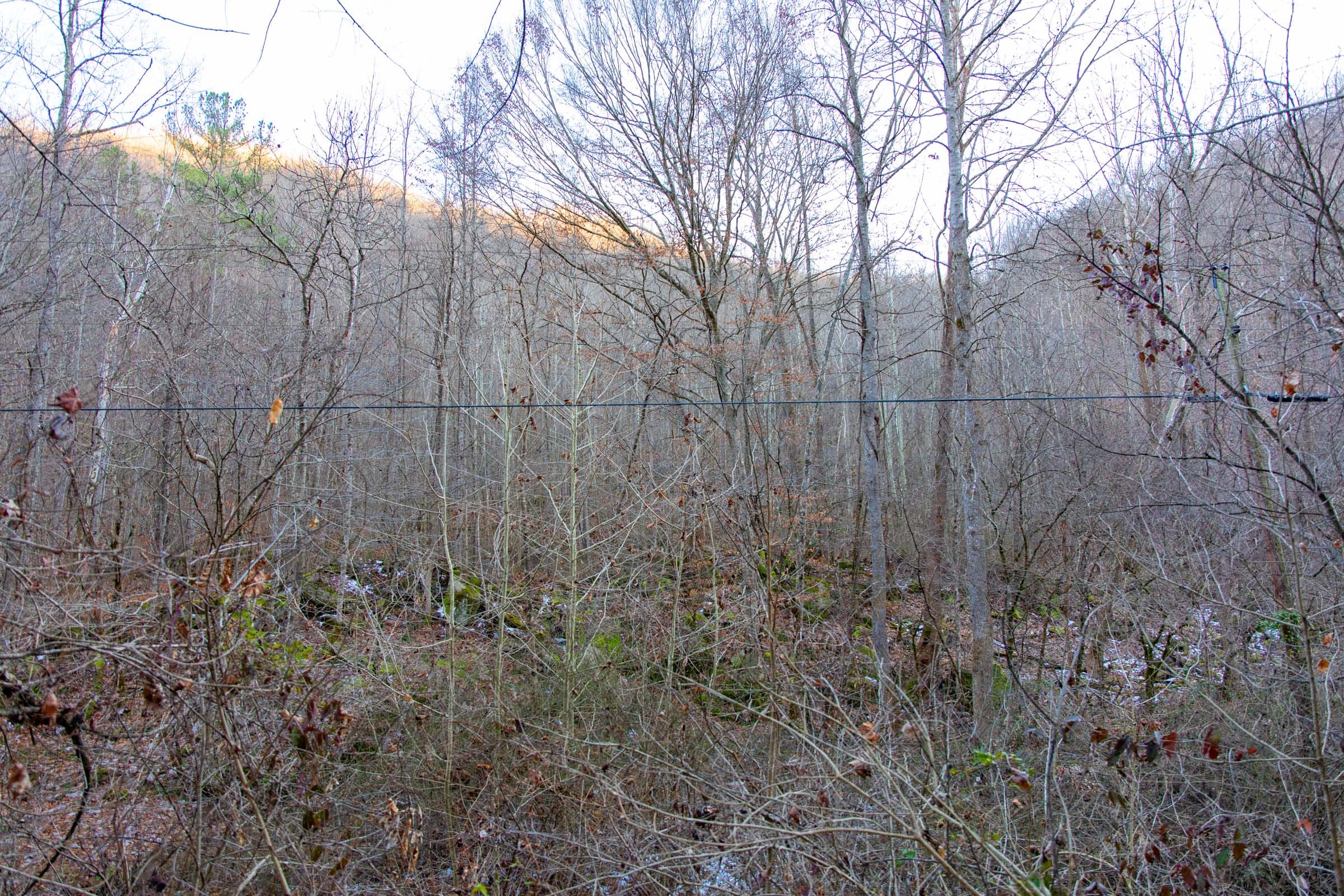 Blackstone Mountain Phase I Tract 5 photo 4
