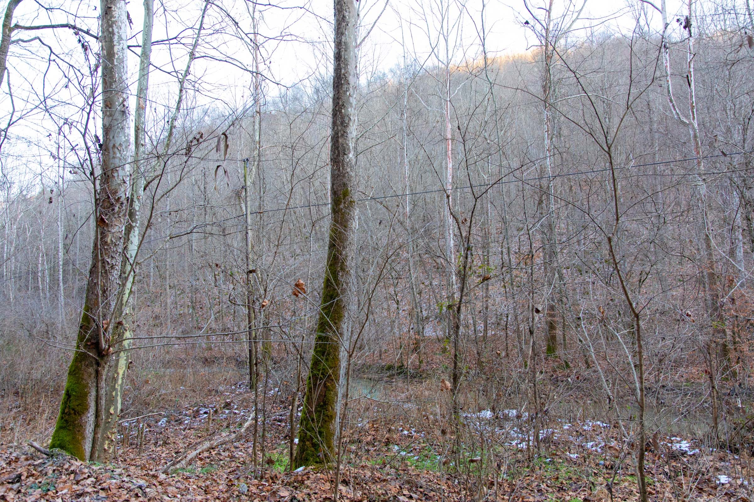Blackstone Mountain Phase I Tract 5 photo 10