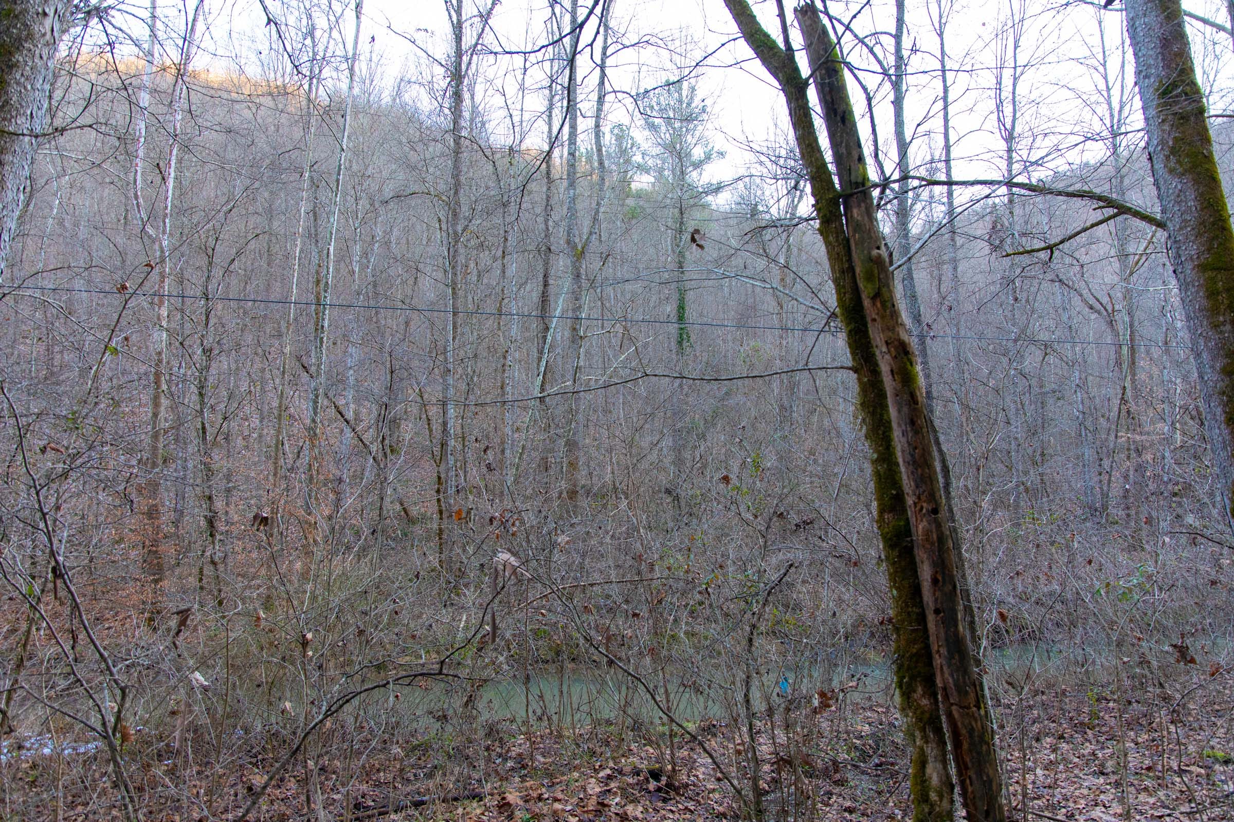 Blackstone Mountain Phase I Tract 5 photo 12