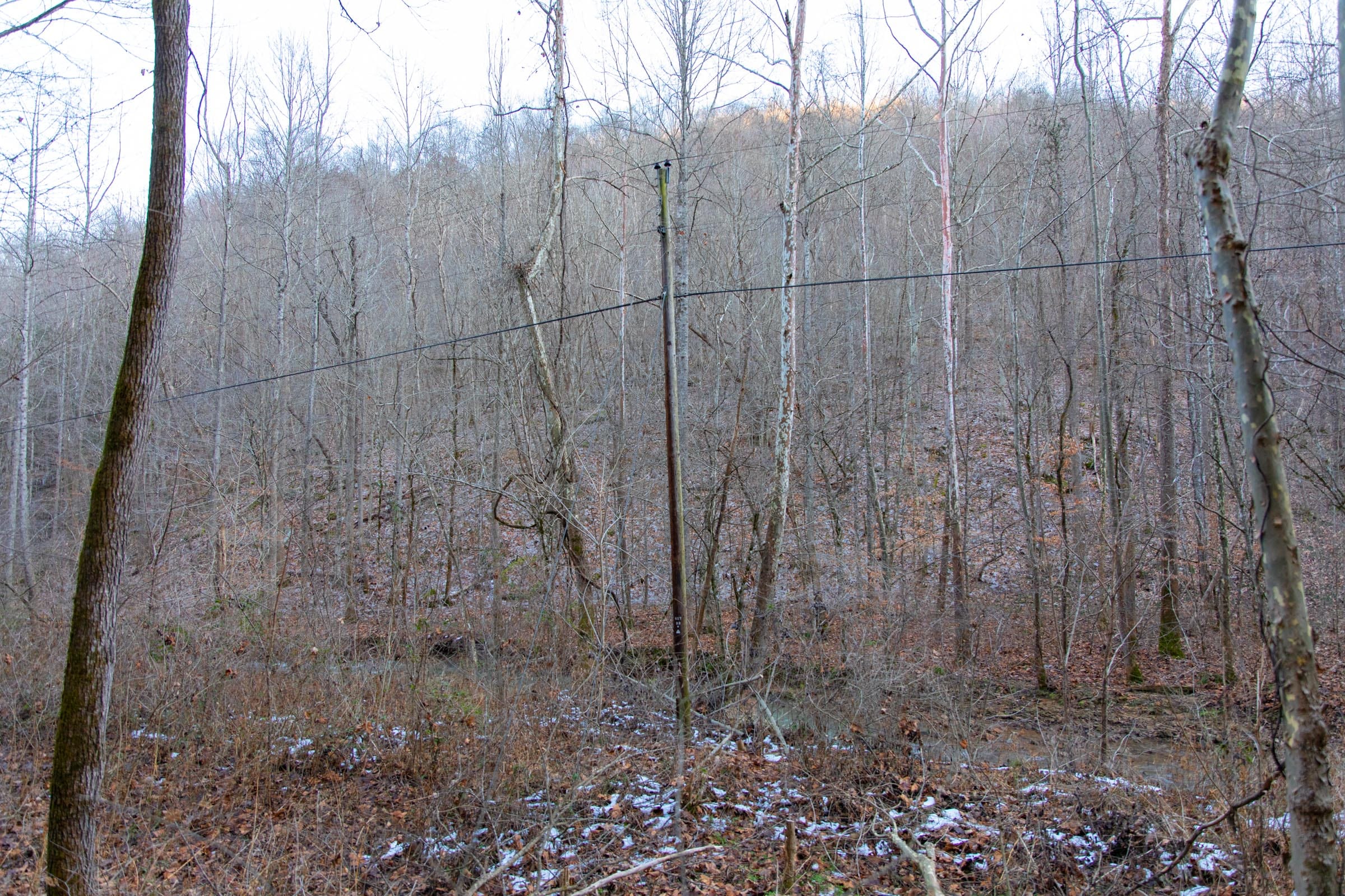Blackstone Mountain Phase I Tract 5 photo 13